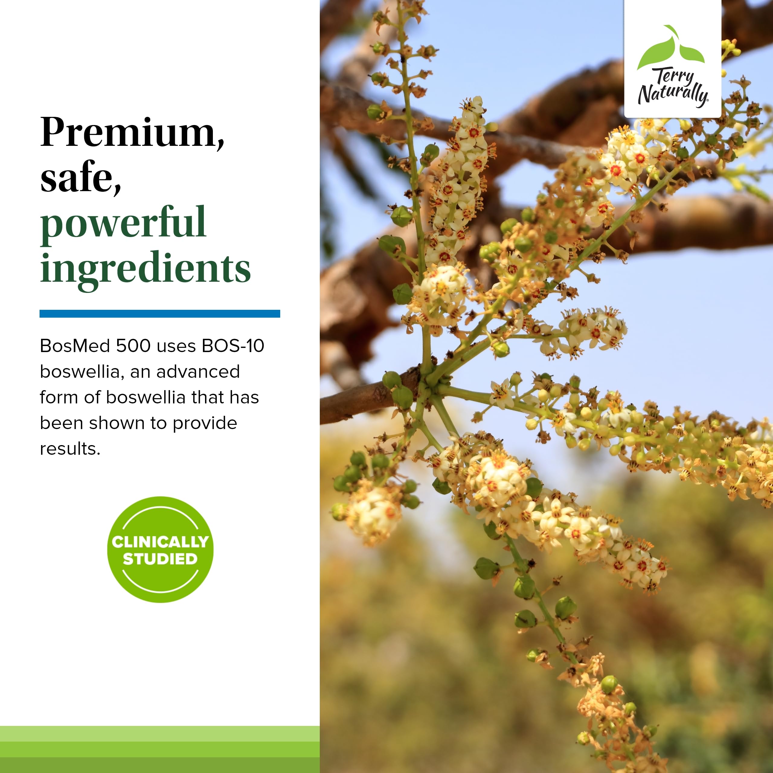 Terry Naturally BosMed 500 Boswellia Serrata – Lung Support, 60 Softgels (Pack of 2)