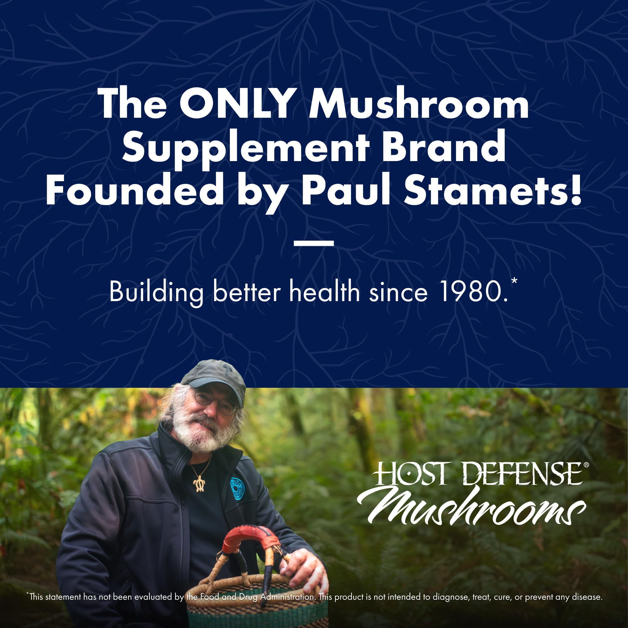 Host Defense Mushrooms Lion's Mane Extract – Brain Health & Focus Support (1 fl oz)