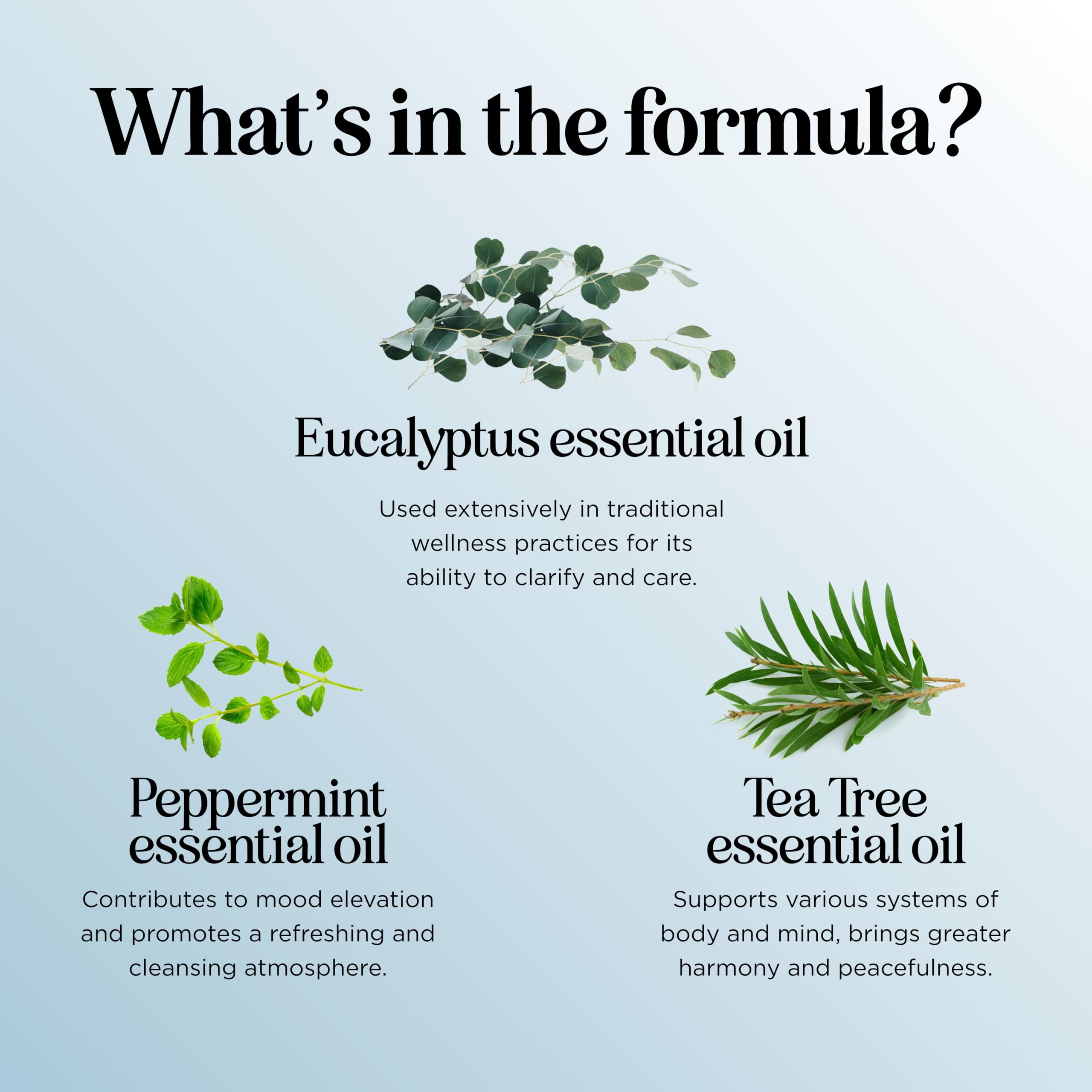 Breathe Essential Oil for Diffuser - Invigorating Eucalyptus Peppermint Tea Tree Mint Blend (4 oz)