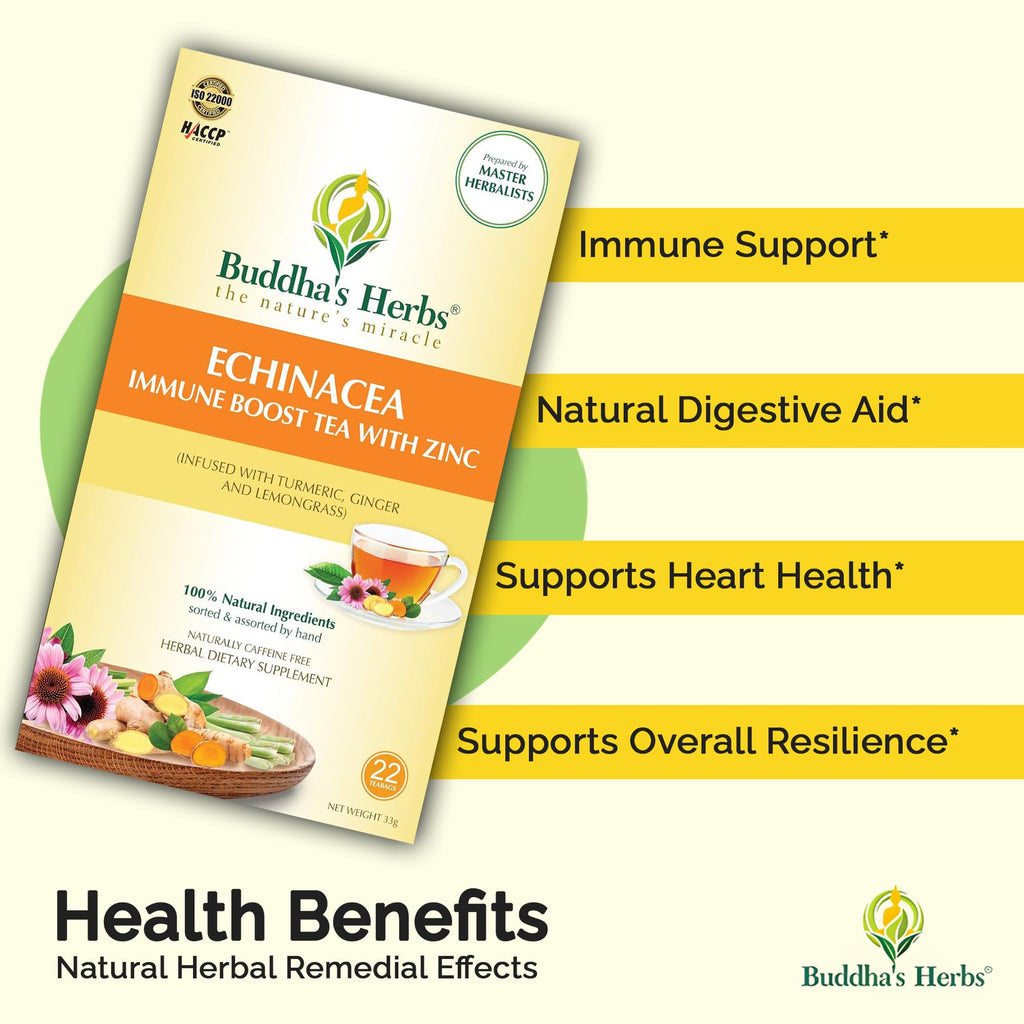 Buddha's Herbs Echinacea Tea – Immune Support with Zinc, Turmeric & Ginger (2 Pack)