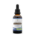 Bugleweed USDA Organic Alcohol-Free Extract - High-Potency Herbal Drops (2 fl oz)