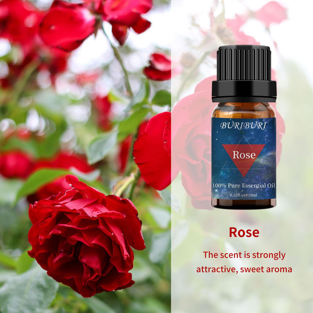 BURIBURI Rose & Lavender Essential Oil Set | 100% Pure Fragrance Oils for Diffuser, Massage & Candles