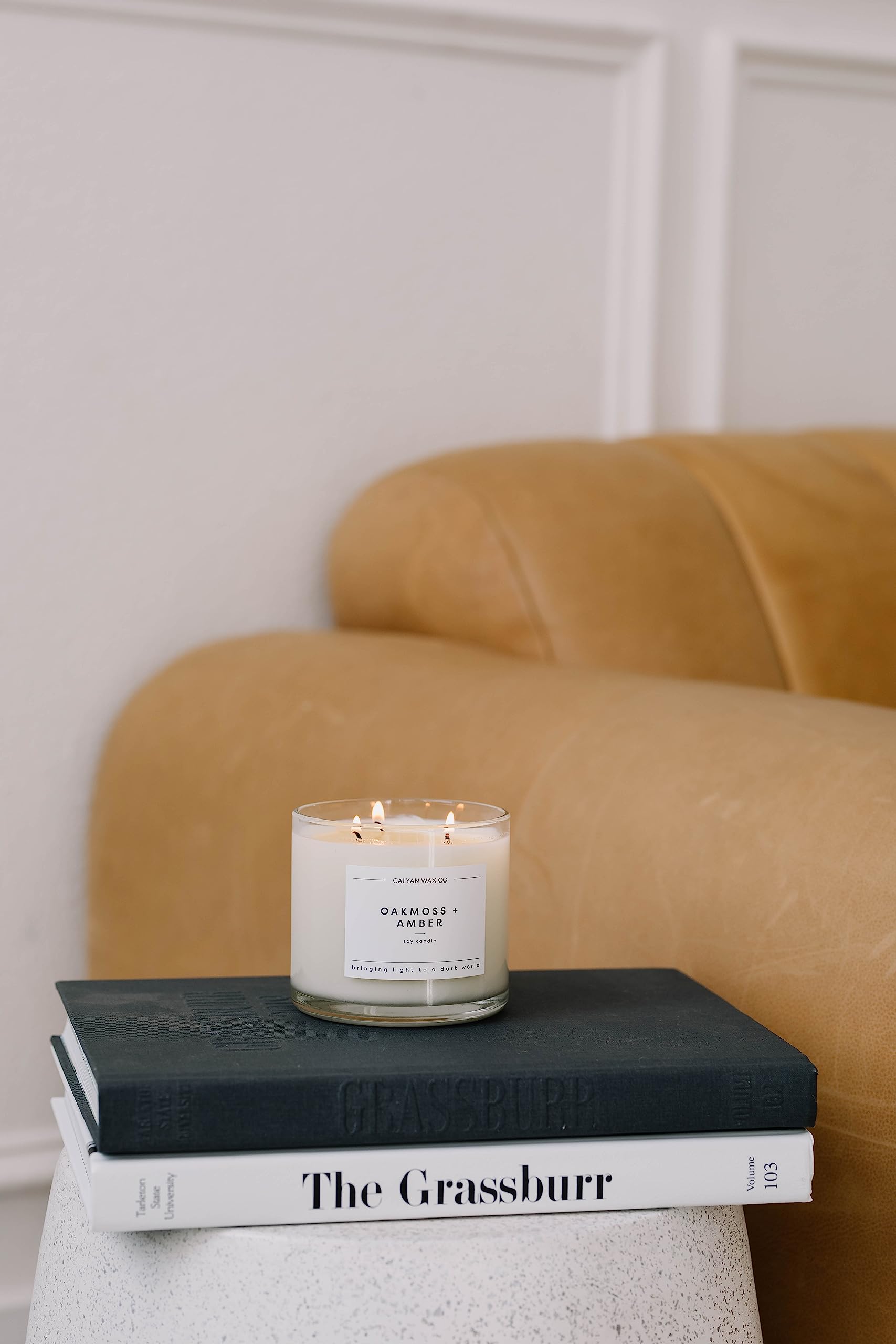 Calyan Wax Co. Evergreen & Eucalyptus 3-Wick Soy Candle – 14.9oz, 43h Burn