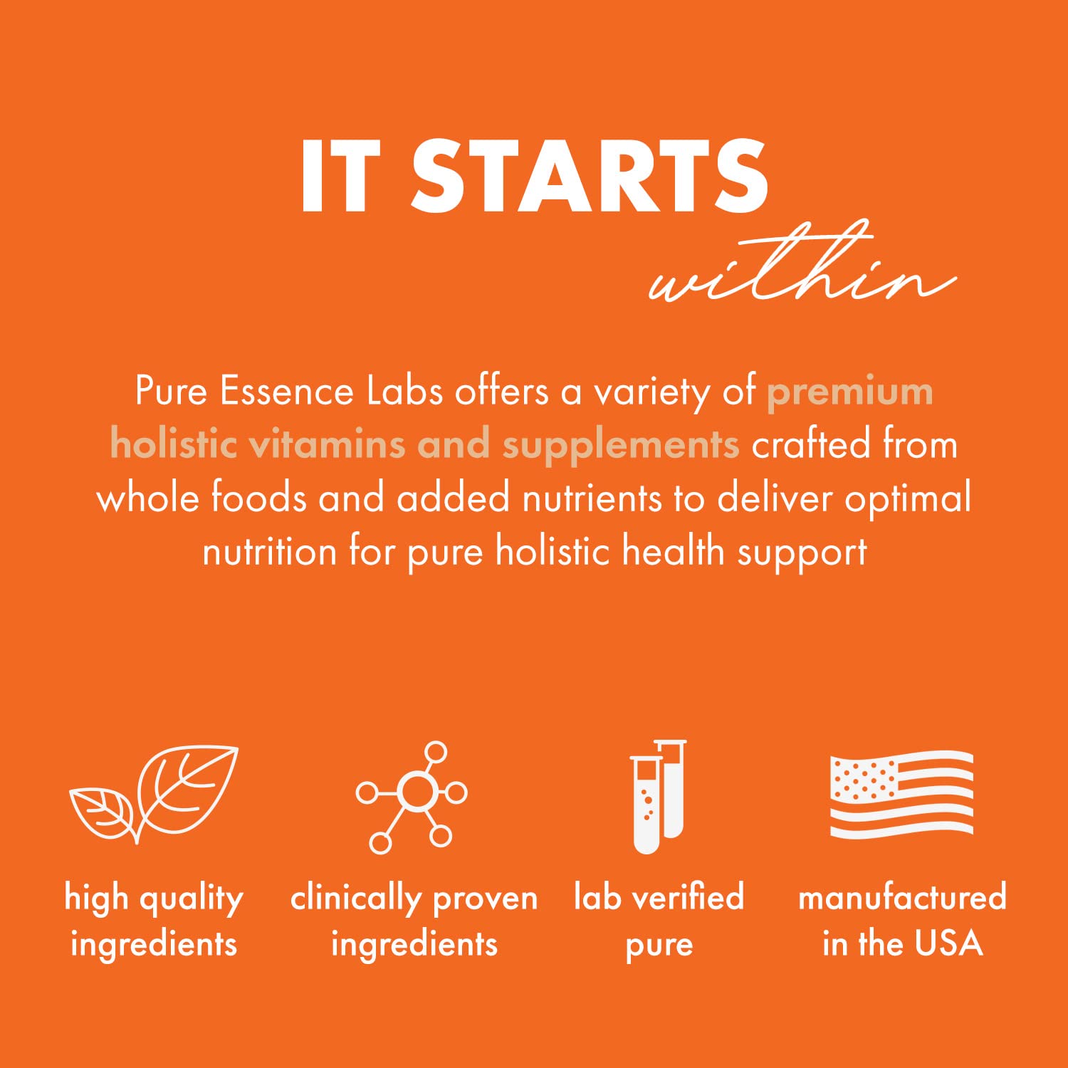 Pure Essence Candex Supplement – Yeast Overgrowth Support with Digestive Enzymes | 80 Capsules | Pure Essence Labs