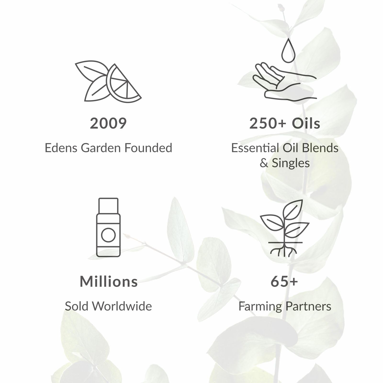 Edens Garden Magnolia Essential Oil Blend – 100% Pure Therapeutic Grade, 10 ml