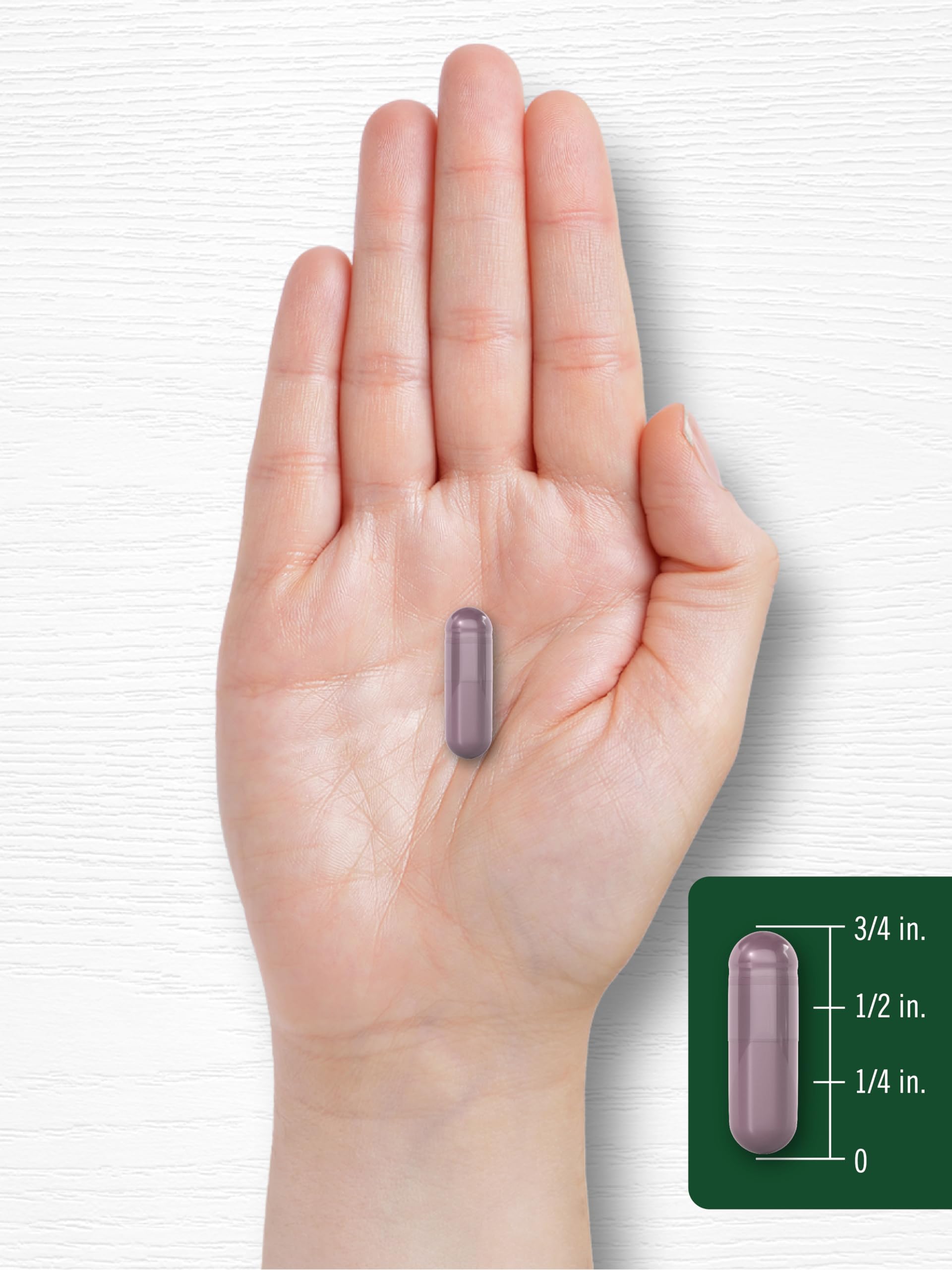 Carlyle Bilberry Extract Capsules | 3600mg, 150 Count | Vegetarian, Non-GMO, Gluten Free Fruit Supplement