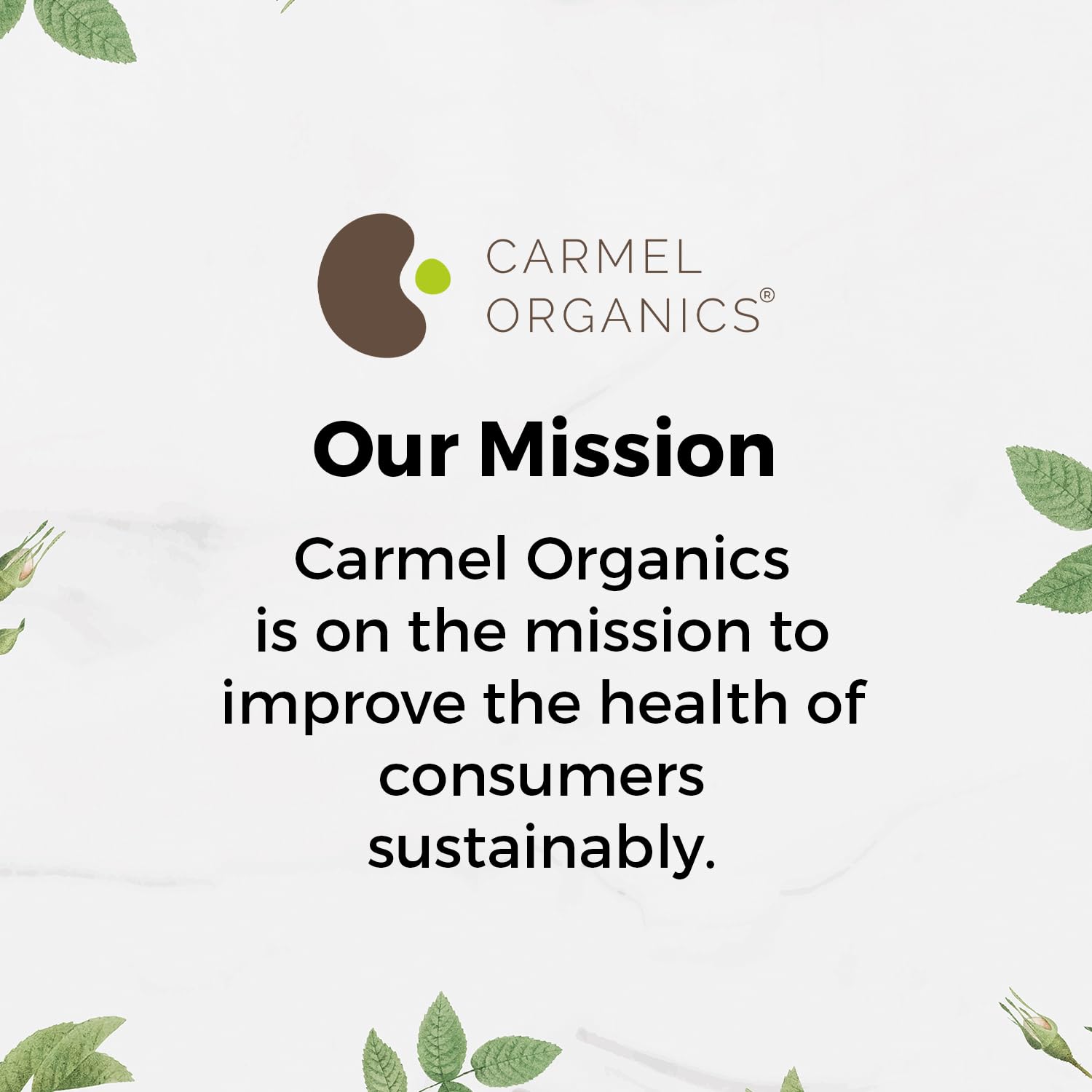 Carmel Organics Amla Powder (8 oz) – Hair & Skin Care, Wellness | Non-GMO