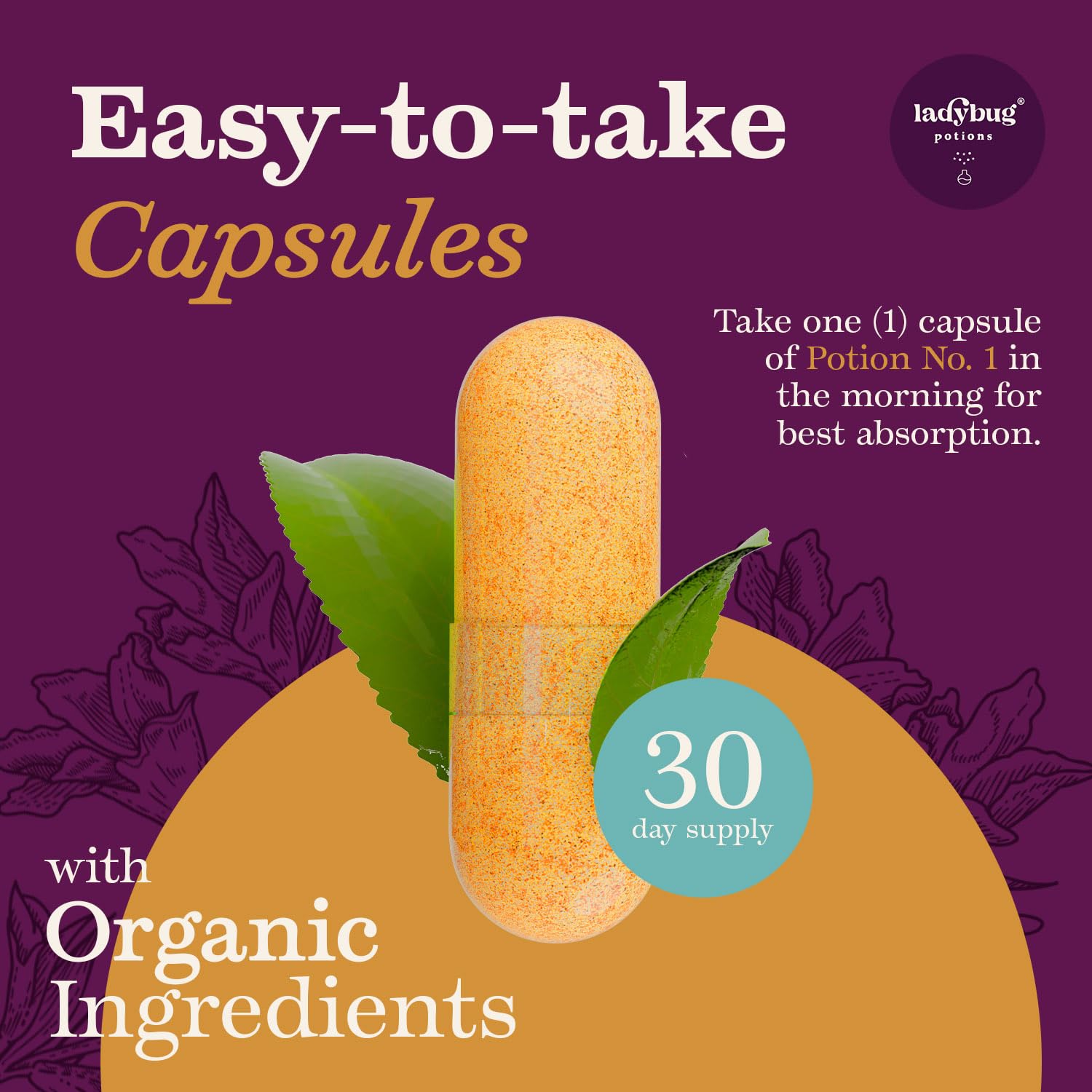 Ladybug Potions Organic Apple Cider Vinegar Capsules 450 mg | Turmeric, Probiotics & Cayenne