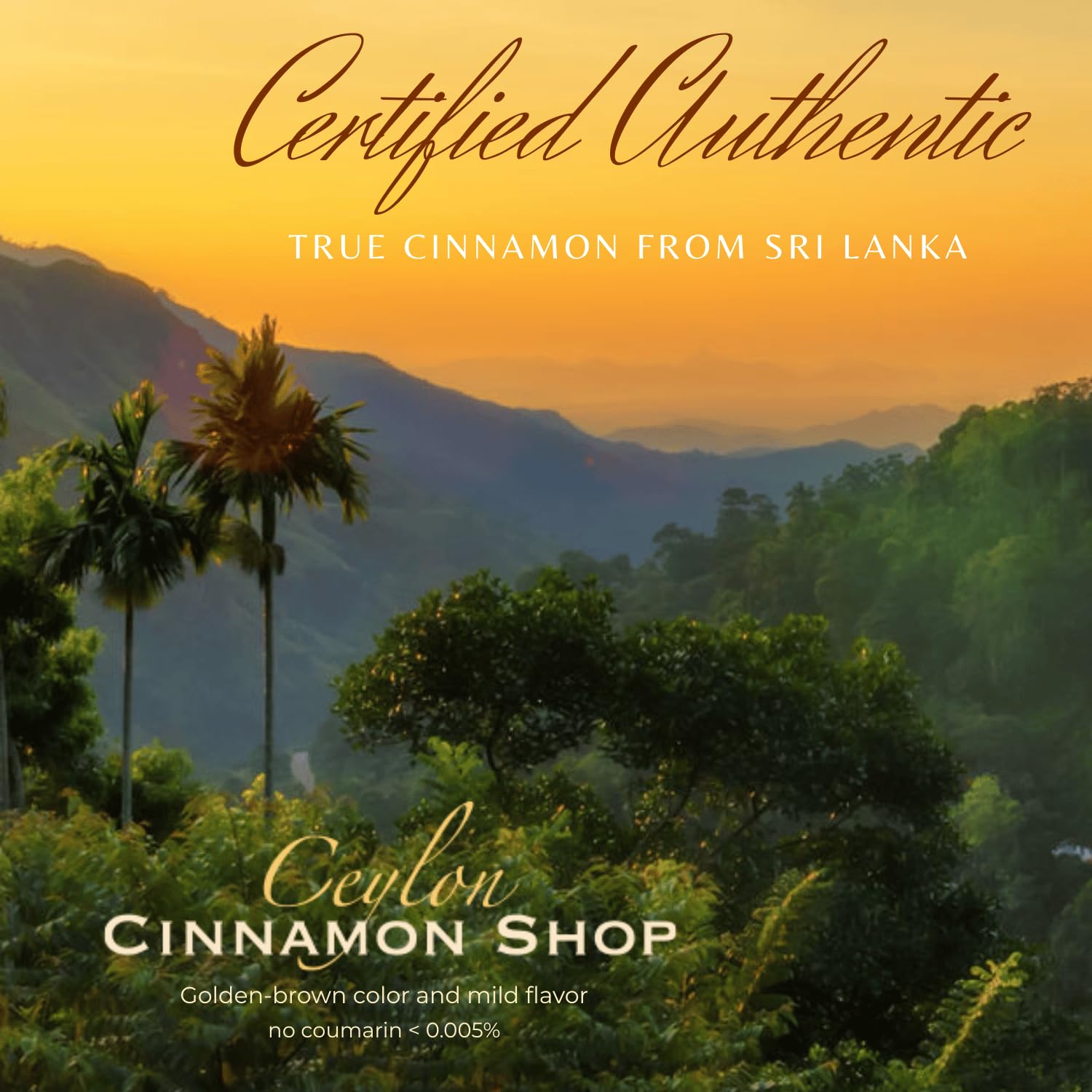 Ceylon Cinnamon Shop: Organic Ceylon Cinnamon Supplement, 180 Capsules (3 Month Supply)