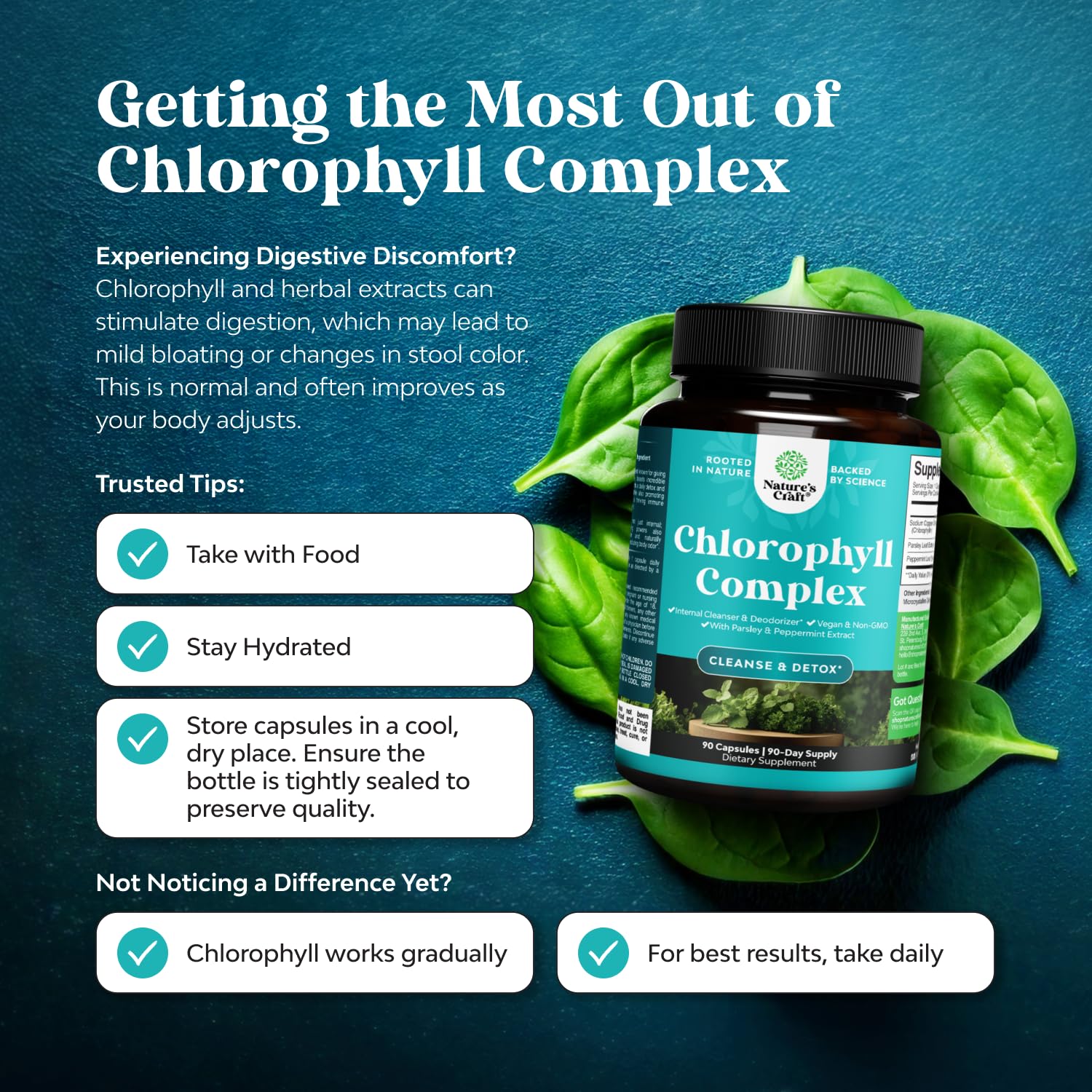 Chlorophyll Capsules for Body Odor & Detox | Mint & Parsley | Vegan Non-GMO Gluten Free (90ct)