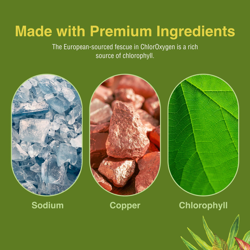 Herbs Etc. ChlorOxygen Chlorophyll Concentrate - 120 Softgels | Blood Health & Energy