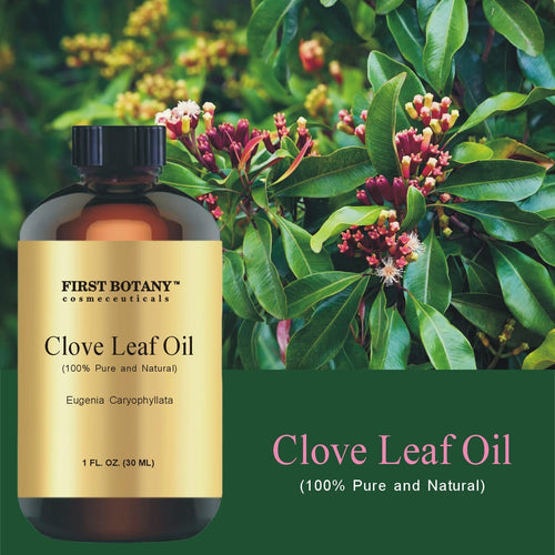 100% Pure Clove Leaf Essential Oil - 1 fl oz | Therapeutic Grade Clove Oil