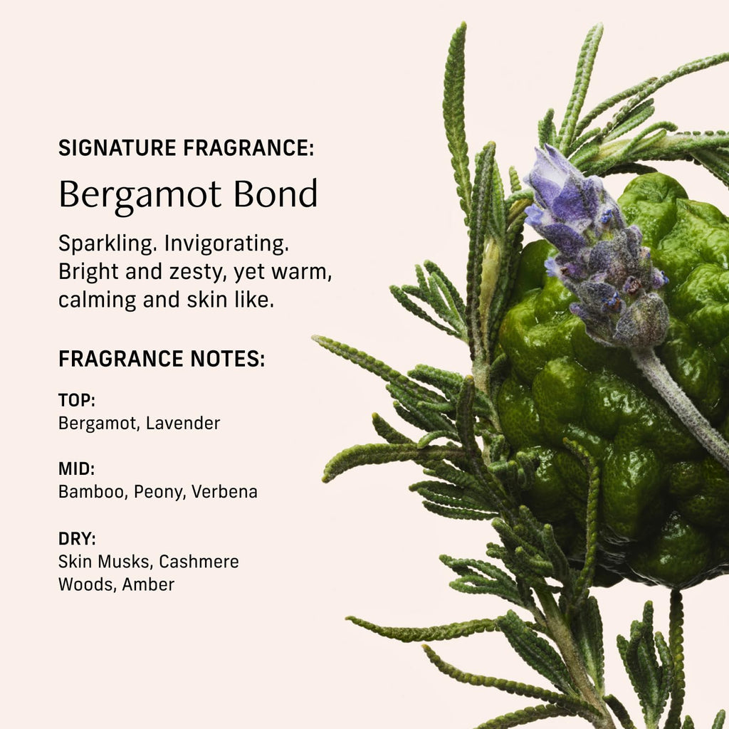 CYKLAR Perfume Oil Roll-On – Bergamot Bond, 0.5 oz Travel-Size