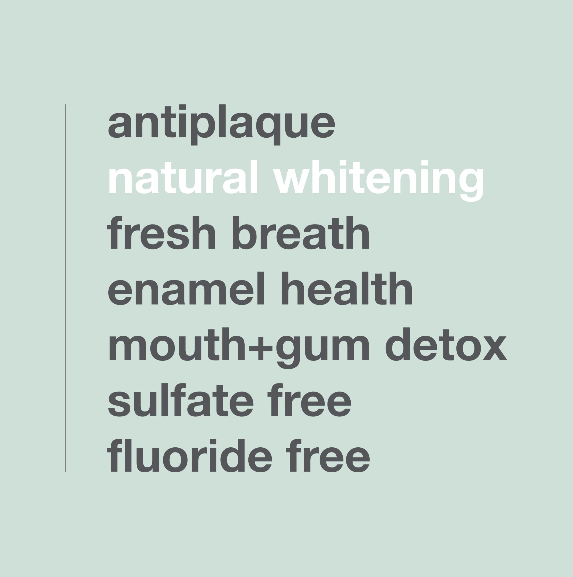 Davids Charcoal Toothpaste – Enhanced Whitening, Fluoride-Free, SLS-Free