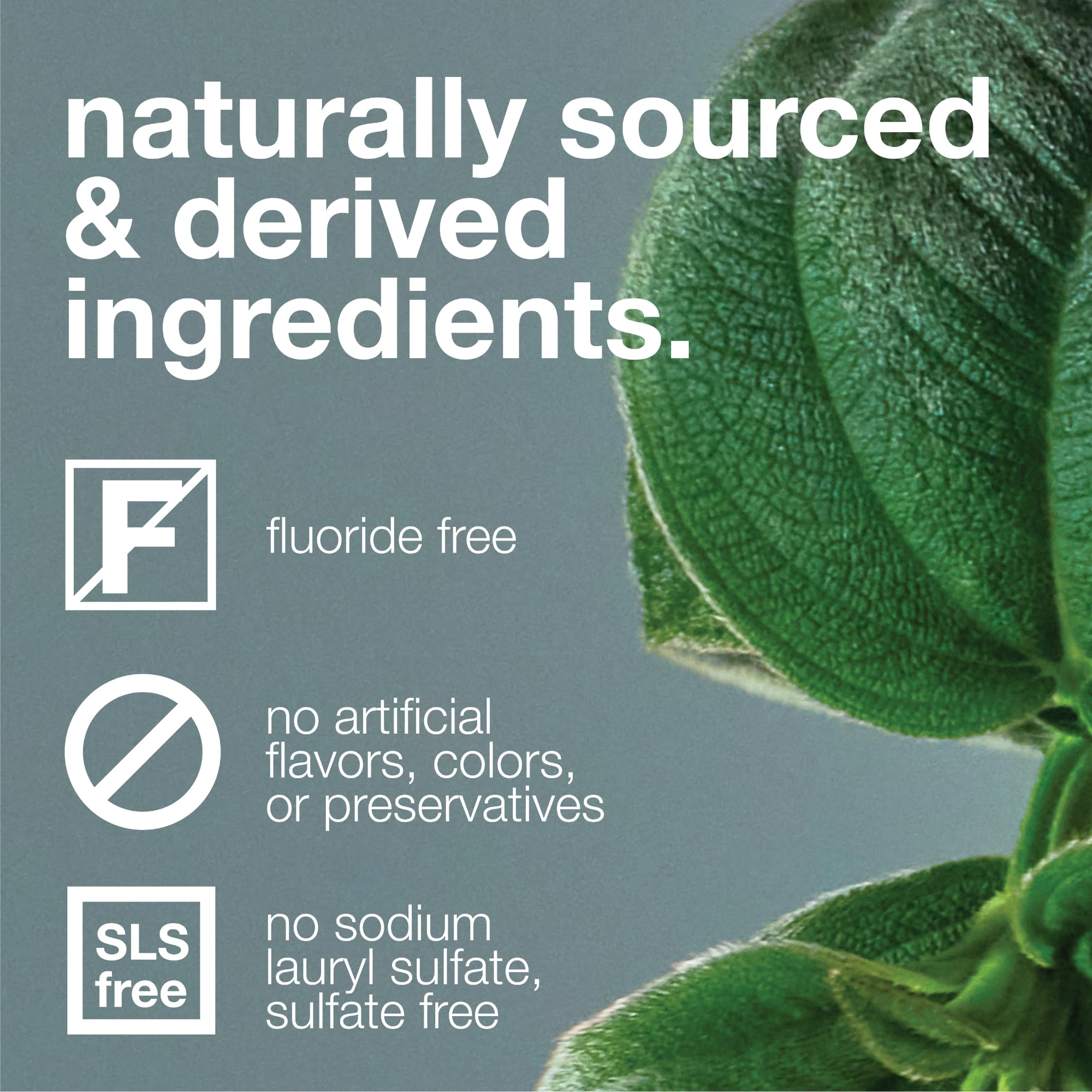 Davids Fluoride Free Toothpaste | Spearmint, SLS-Free, Whitening & Antiplaque | 5.25oz | Made in USA | EWG Verified