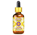 dève herbes Catnip Essential Oil (Nepeta cataria) 5ml with Glass Dropper – Pure & Steam Distilled