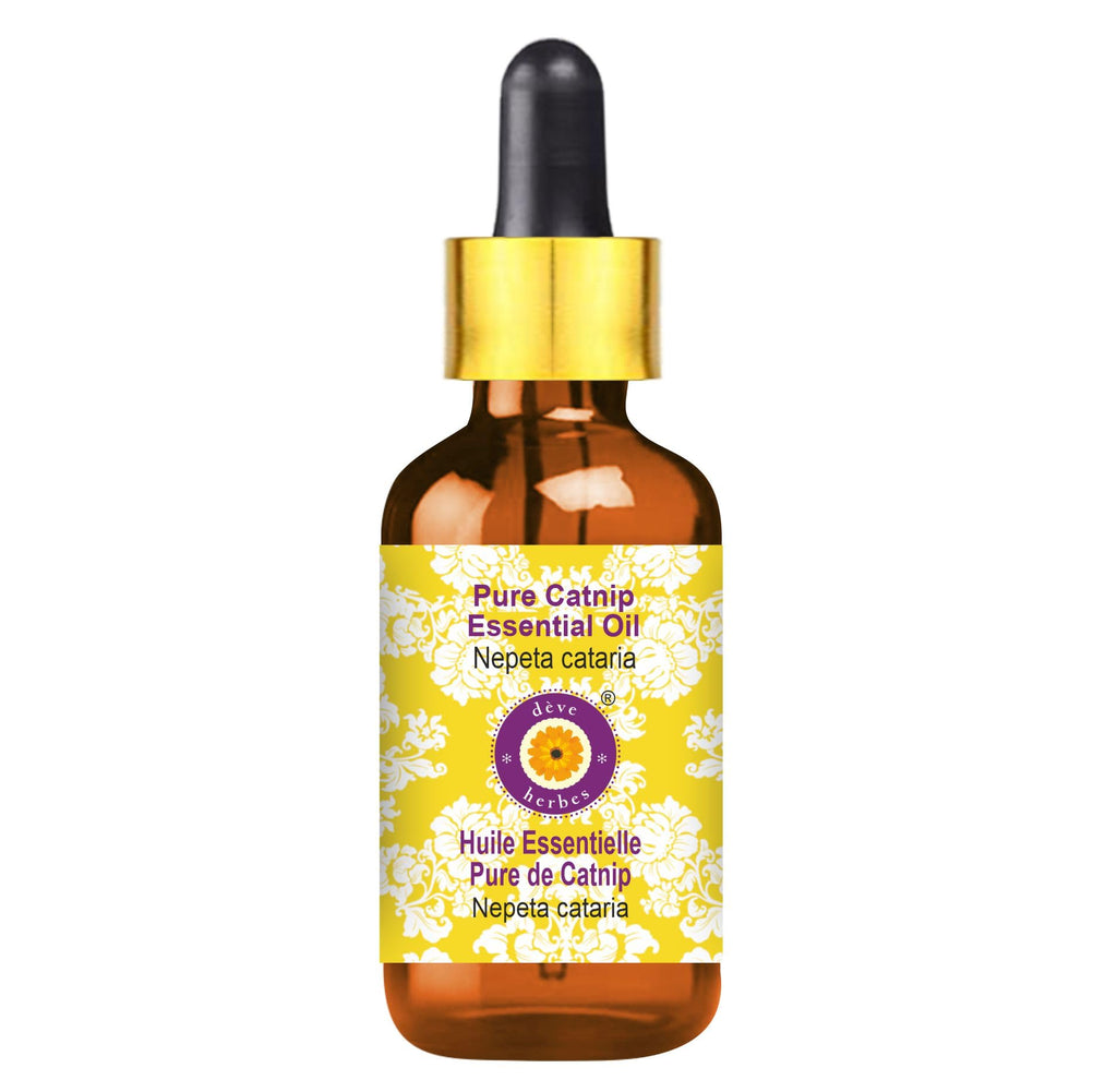 Deve Herbes Catnip Essential Oil 100ml | Steam Distilled Nepeta cataria in Amber Glass Bottle