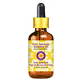 Deve Herbes Oakmoss Essential Oil 5ml | Steam Distilled, Glass Dropper (Evernia prunastri)