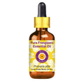 Frangipani Essential Oil (Plumeria alba) 5ml – Glass Dropper | Pure & Lightweight