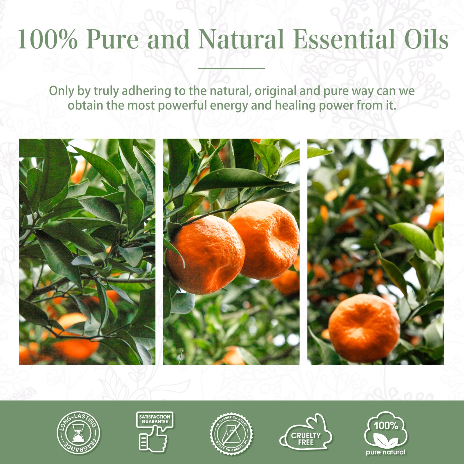 PHATOIL Tangerine Essential Oil 100ml – Aromatherapy, Diffusers, Candles & Soaps