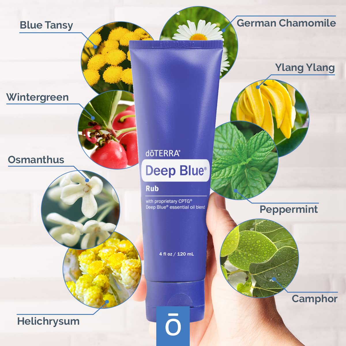 doTERRA Deep Blue Rub - 4 oz (2 Pack) – Pain Relief Topical