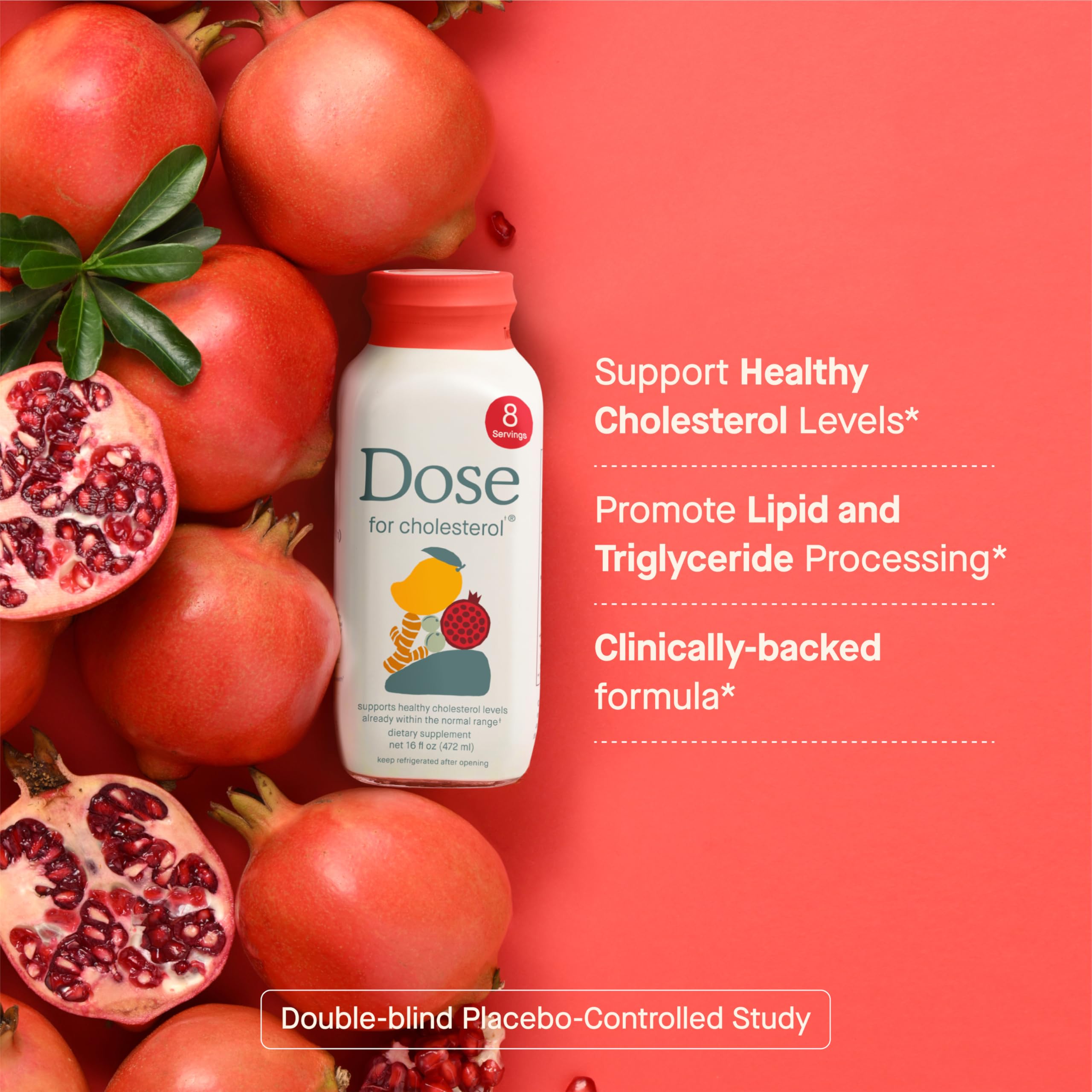 DOSE for Cholesterol – Vegan, Gluten-Free Supplement for Healthy Cholesterol & Cardiovascular Support (16oz Bottle, 6 Pack)