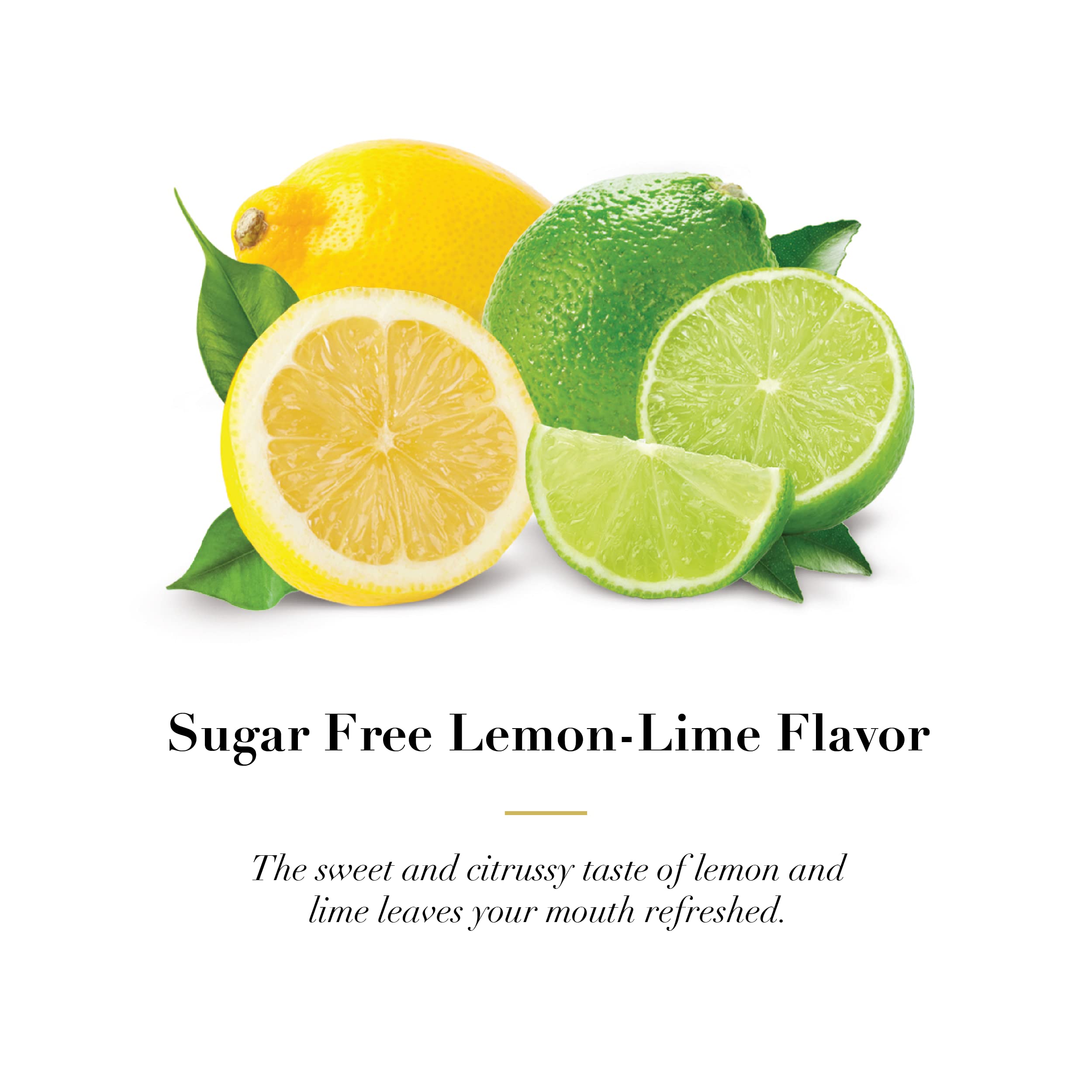 Dr Doolittle's Sugar Free Soft Fruit Pastilles - Lemon Lime for Voice & Throat - Multipack Tin & Travel Size