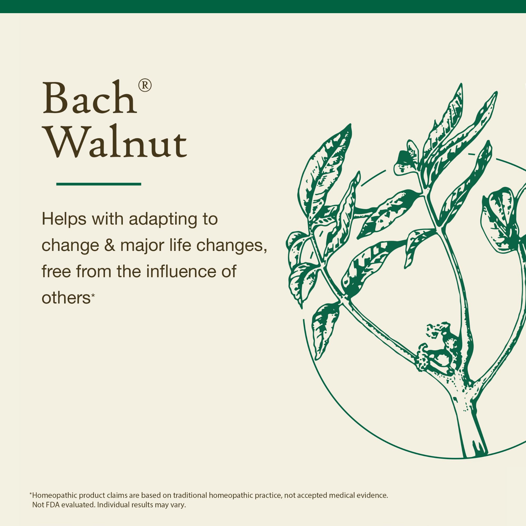 Bach Walnut Original Flower Remedy – Adapt to Change | 20mL Dropper