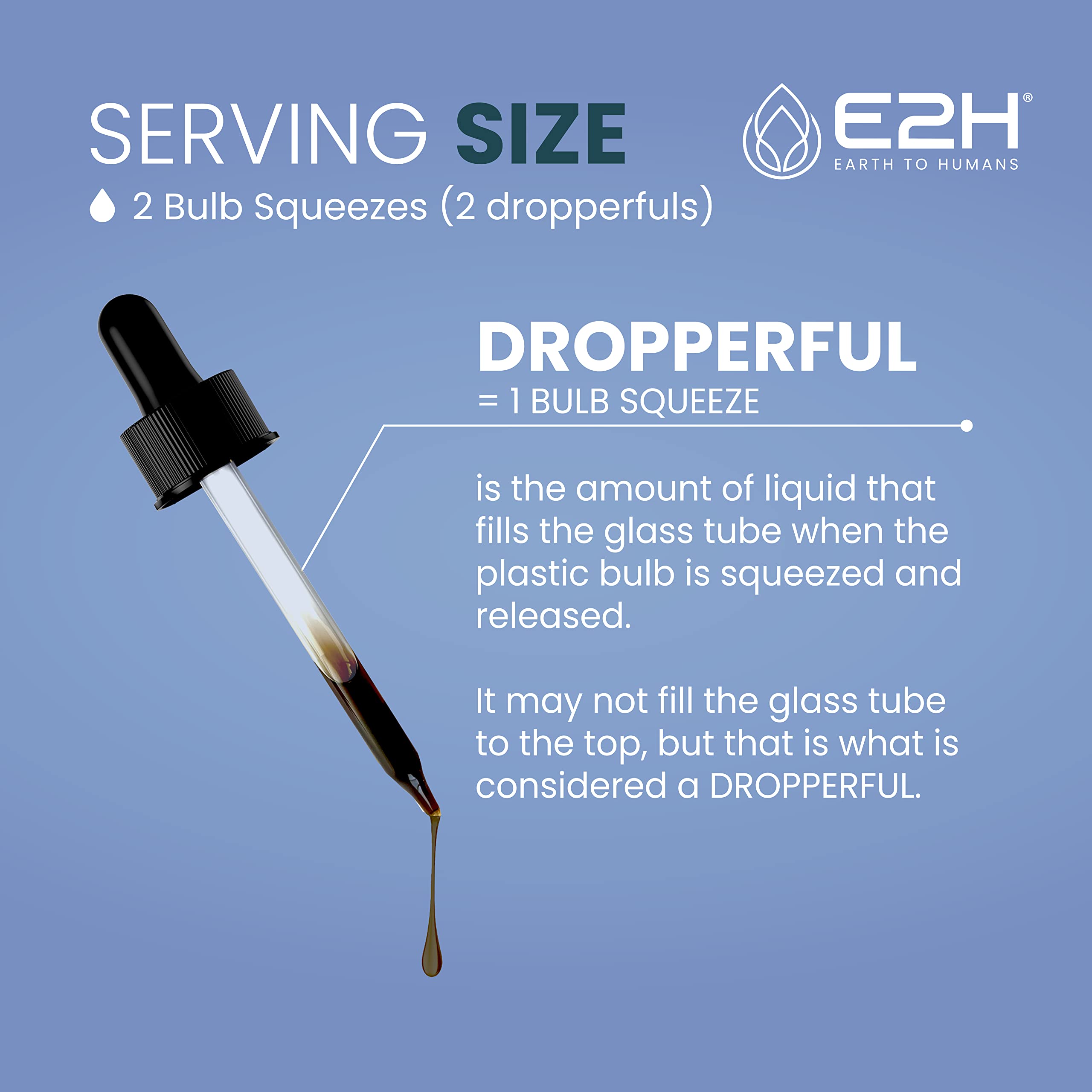 E2H Natural Black Currant Extract – Cold Pressed Seed, Immune Support, Fast-Absorbing Liquid (2 Bottles)