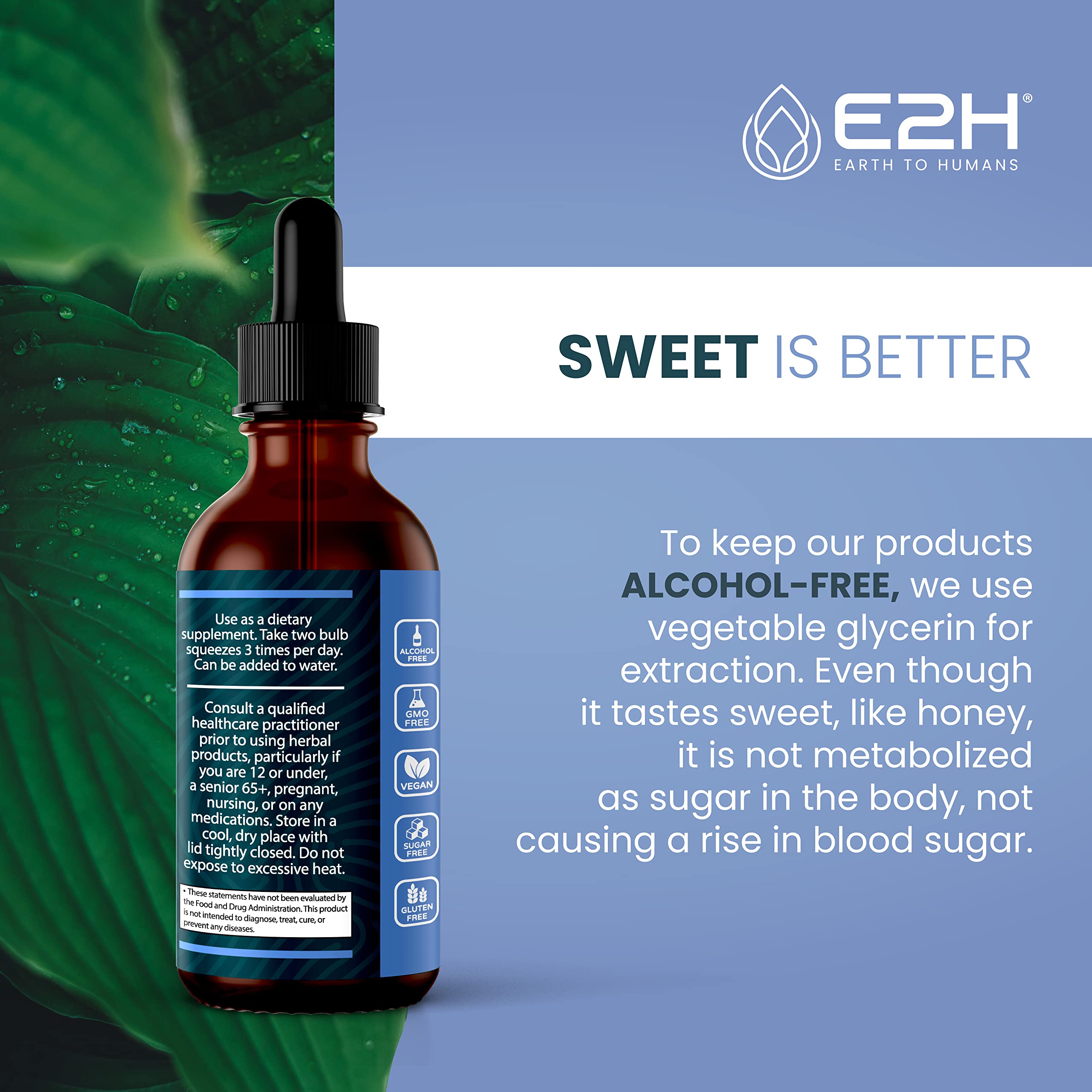 E2H Natural Black Currant Extract – Cold Pressed Seed, Immune Support, Fast-Absorbing Liquid (2 Bottles)
