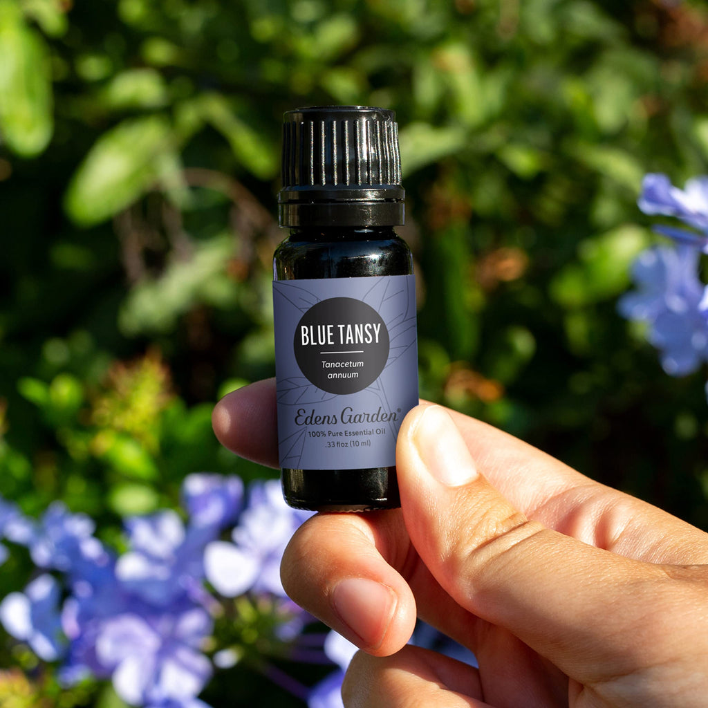 Edens Garden Blue Tansy Essential Oil – 100% Pure Premium Grade, 10 ml