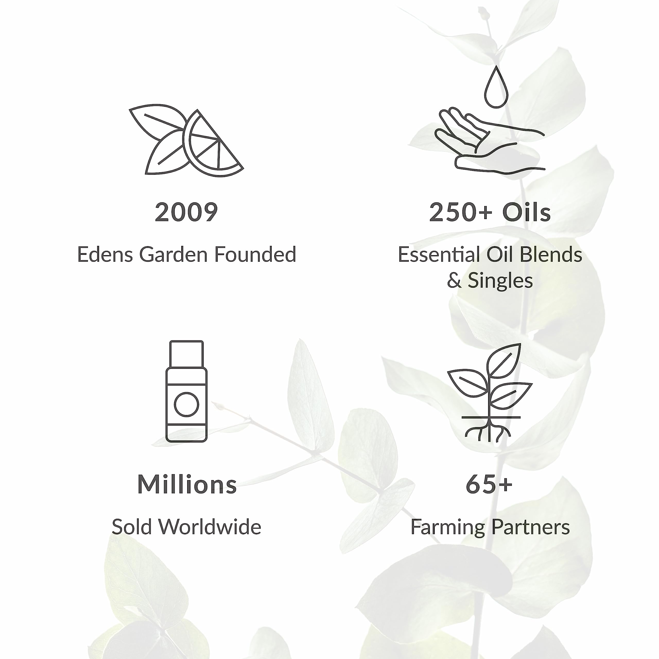 Edens Garden Cognac Essential Oil - 100% Pure, Premium Grade (10 ml)