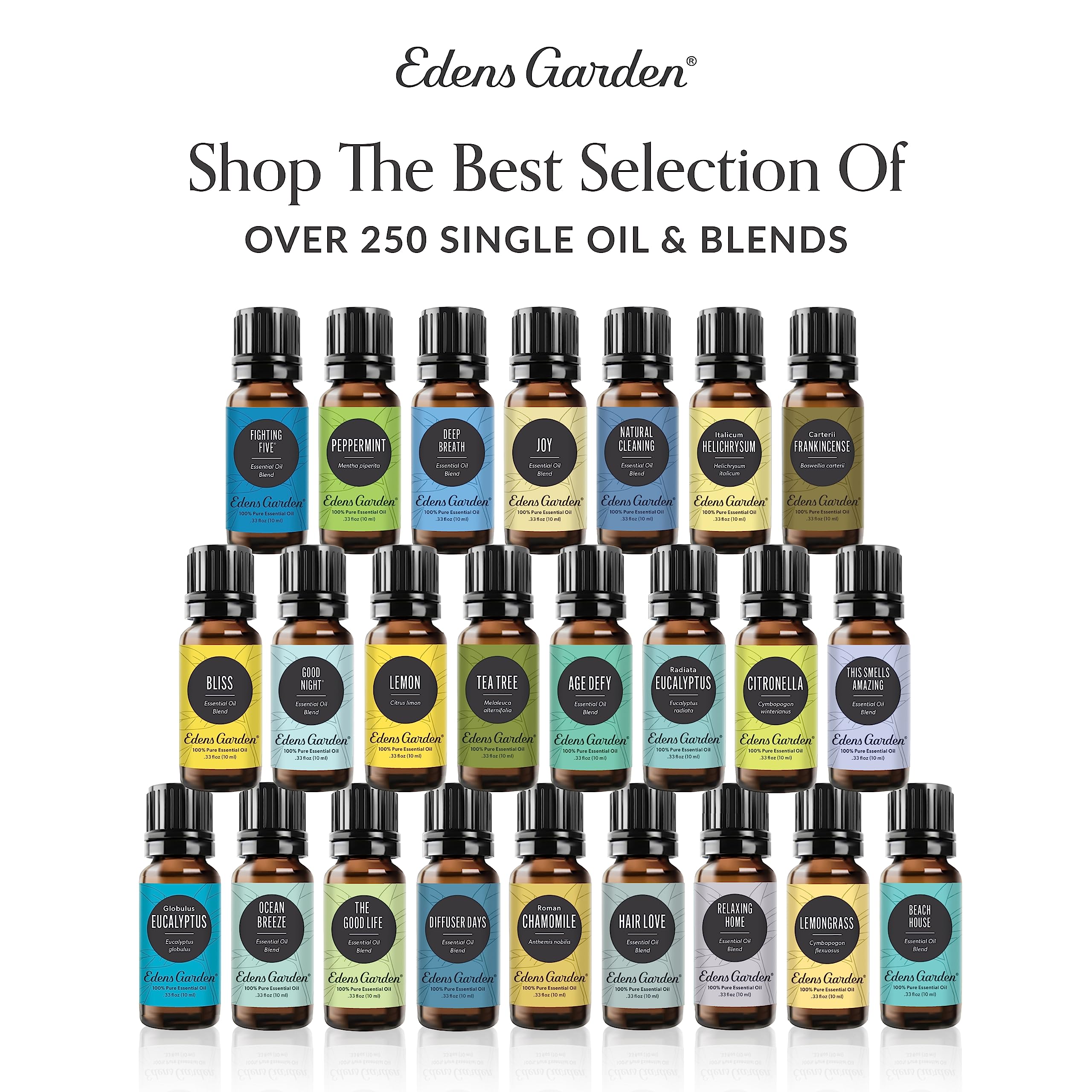 Edens Garden Coriander Seed Essential Oil – 100% Pure, Premium Grade, 30ml