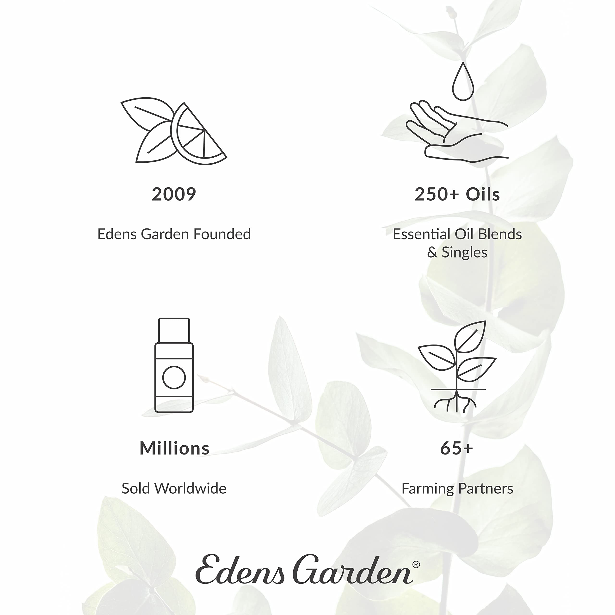 Edens Garden Detox & Cleanse Essential Oil Roll-On – 10 ml