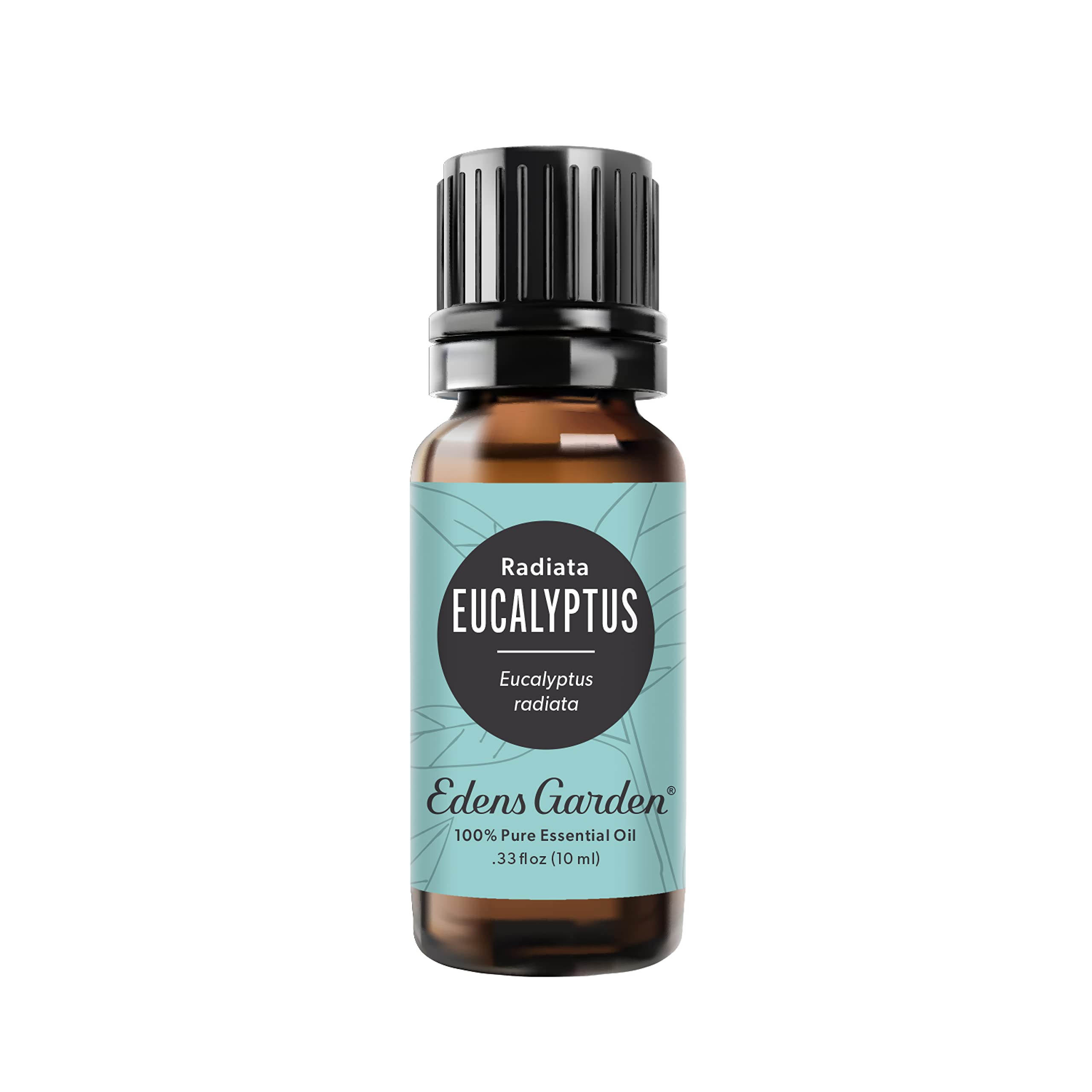 Edens Garden Eucalyptus Radiata Essential Oil – 100% Pure, Premium Grade, 10 ml