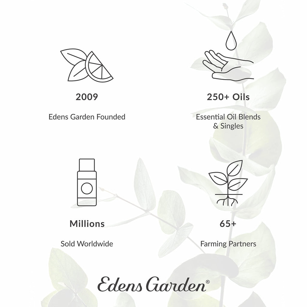 Edens Garden Hot Chocolate Hugs Essential Oil Blend - 100% Pure, Premium Grade, 10 ml