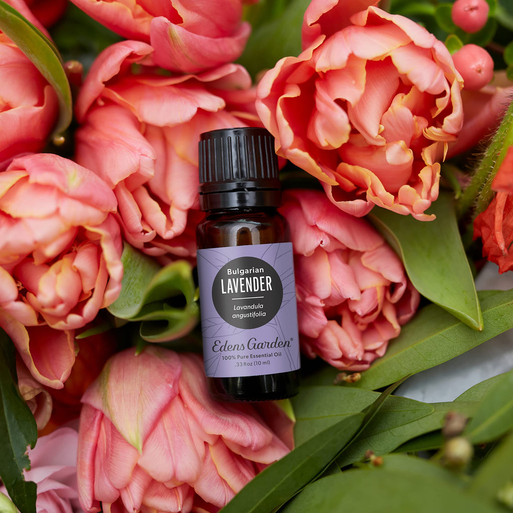 Edens Garden Lavender Bulgarian Essential Oil – 100% Pure, Premium Grade (10 ml)