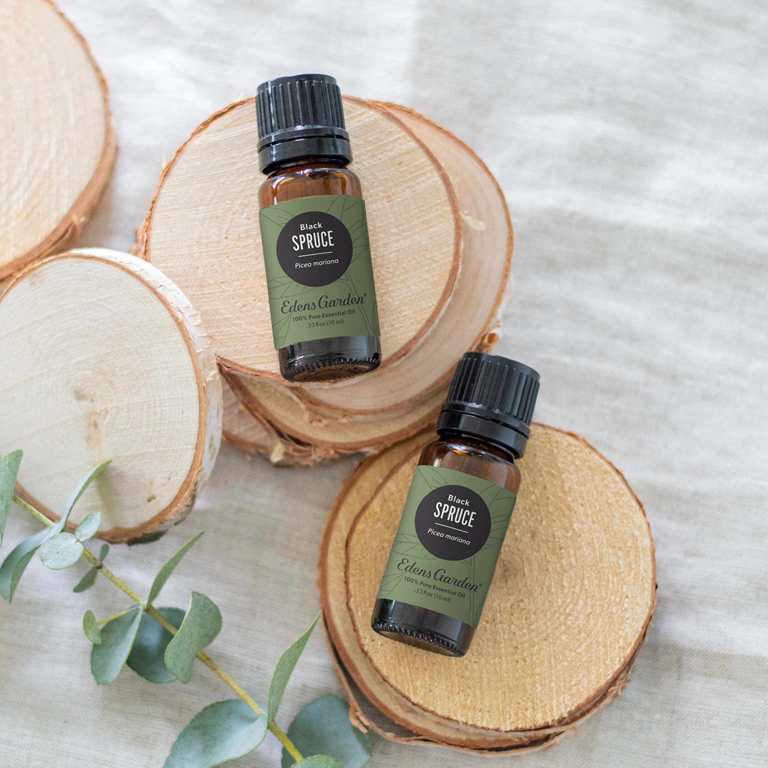 Edens Garden Spruce-Black Essential Oil – 100% Pure, Premium Grade, 10 ml