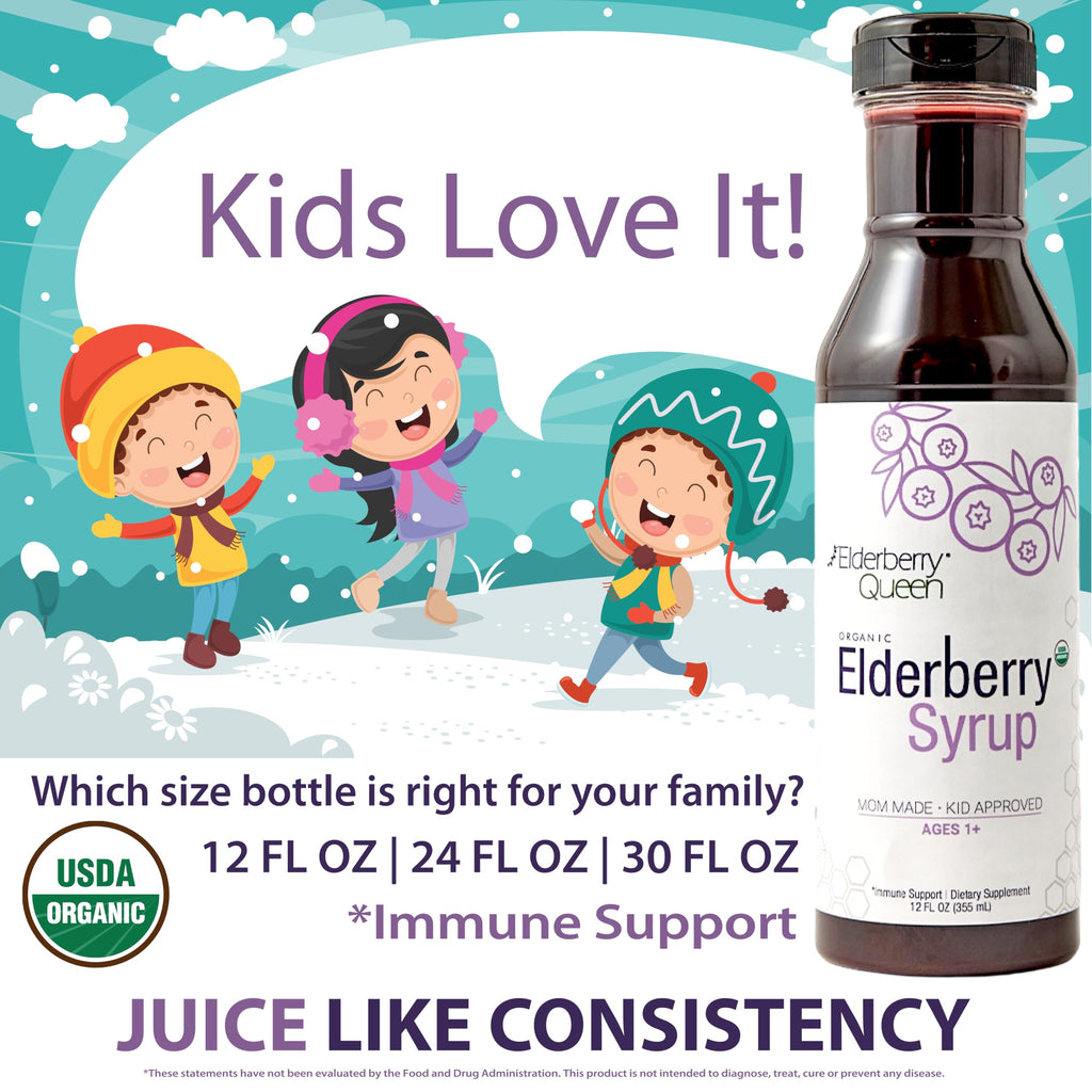 Elderberry Queen Organic Elderberry Syrup 24 Fl Oz – Sambucus Elderberry & Aronia Berry for Kids & Adults