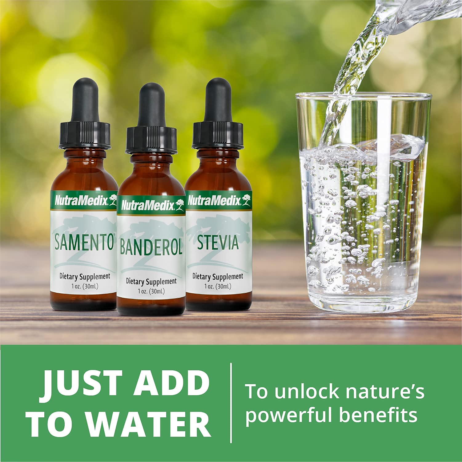 NutraMedix Enula Liquid Drops – Immune Support & Antioxidants (1oz / 30ml)