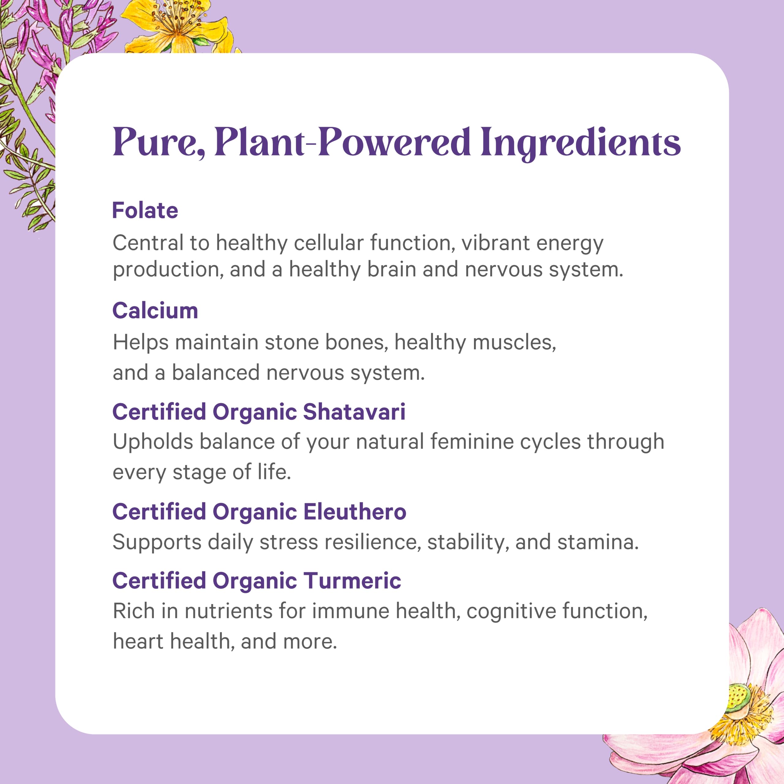 PURE SYNERGY Vita-Min-Herb for Women | Organic Whole-Food Multivitamin (120 Tablets)