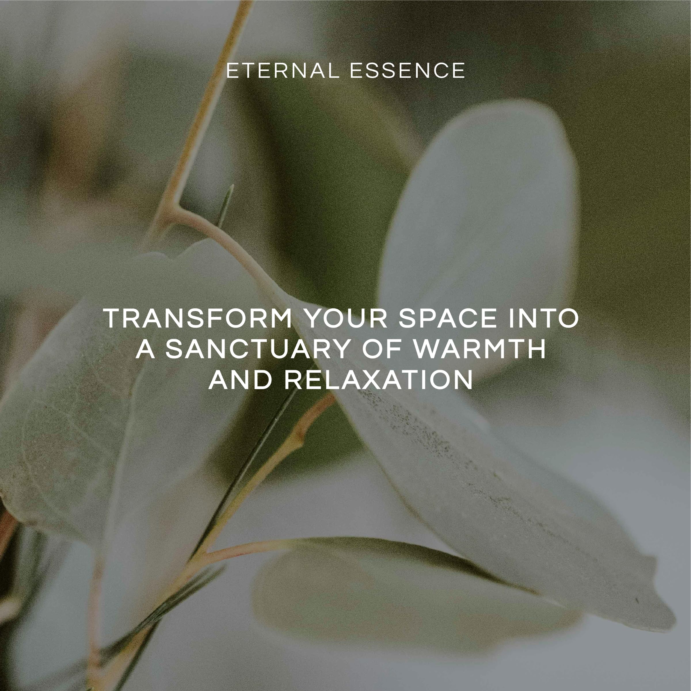 Eternal Essence Oils Relaxation Set – 6 Premium Fragrance Oils (10ml each)