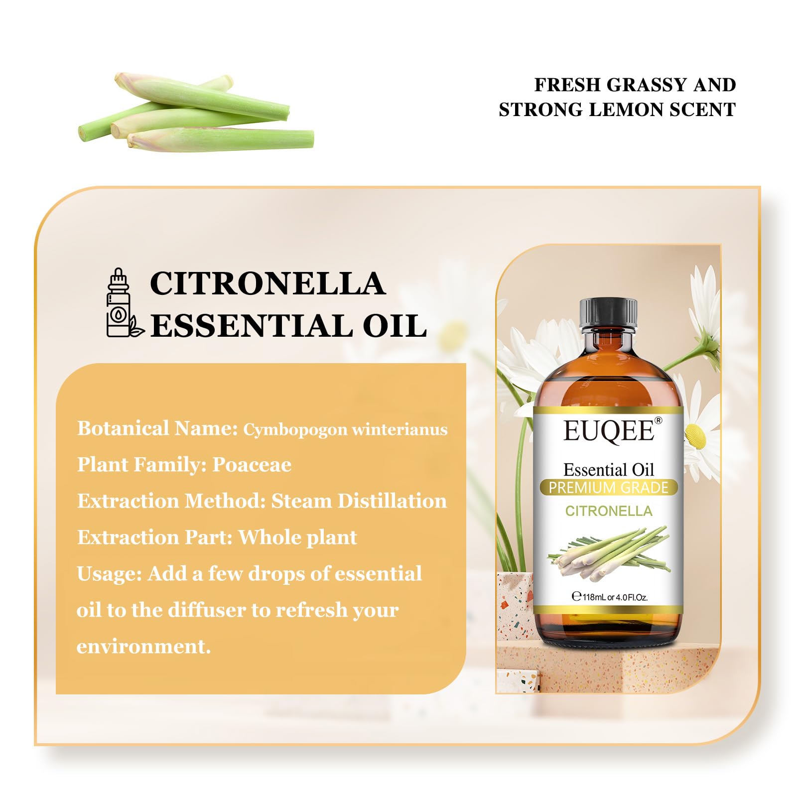 EUQEE Citronella Essential Oil – 118ml Gift Box with Glass Dropper