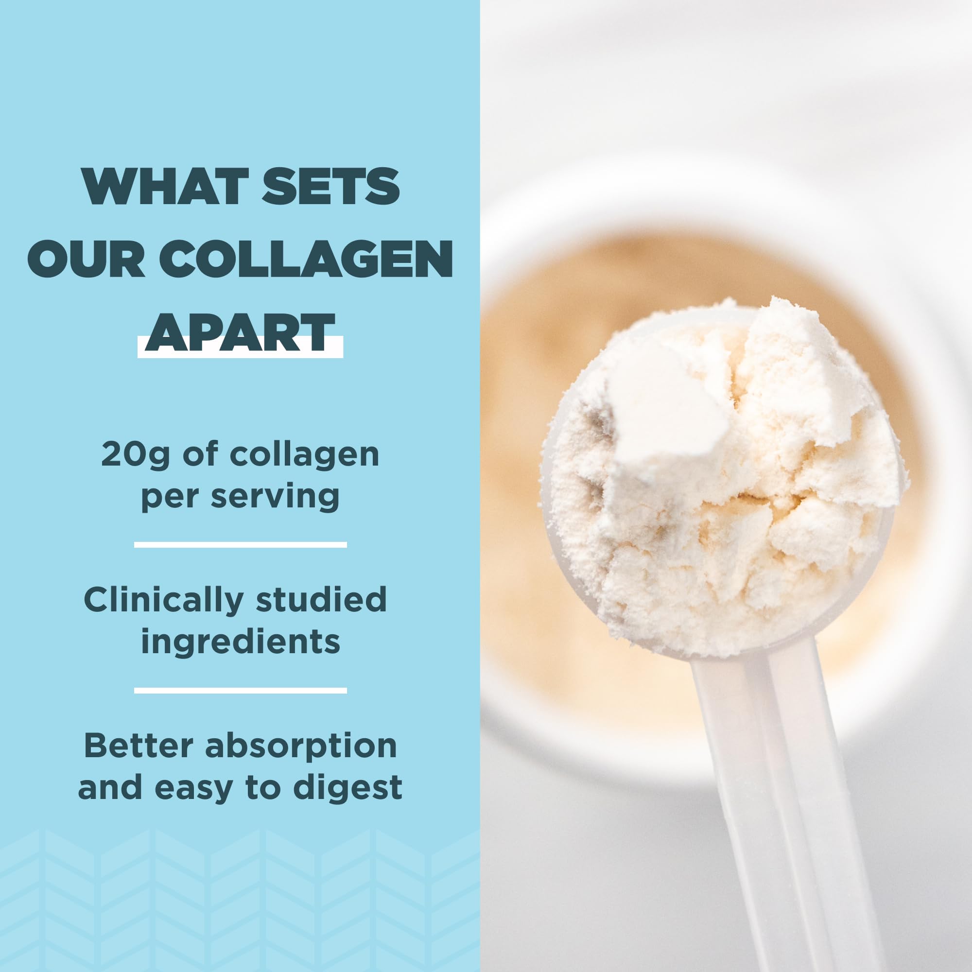 Ancient Nutrition Collagen Peptides Powder – Vanilla, 20g per Serving, 12 Servings | Skin, Joint & Gut Support | Keto & Paleo