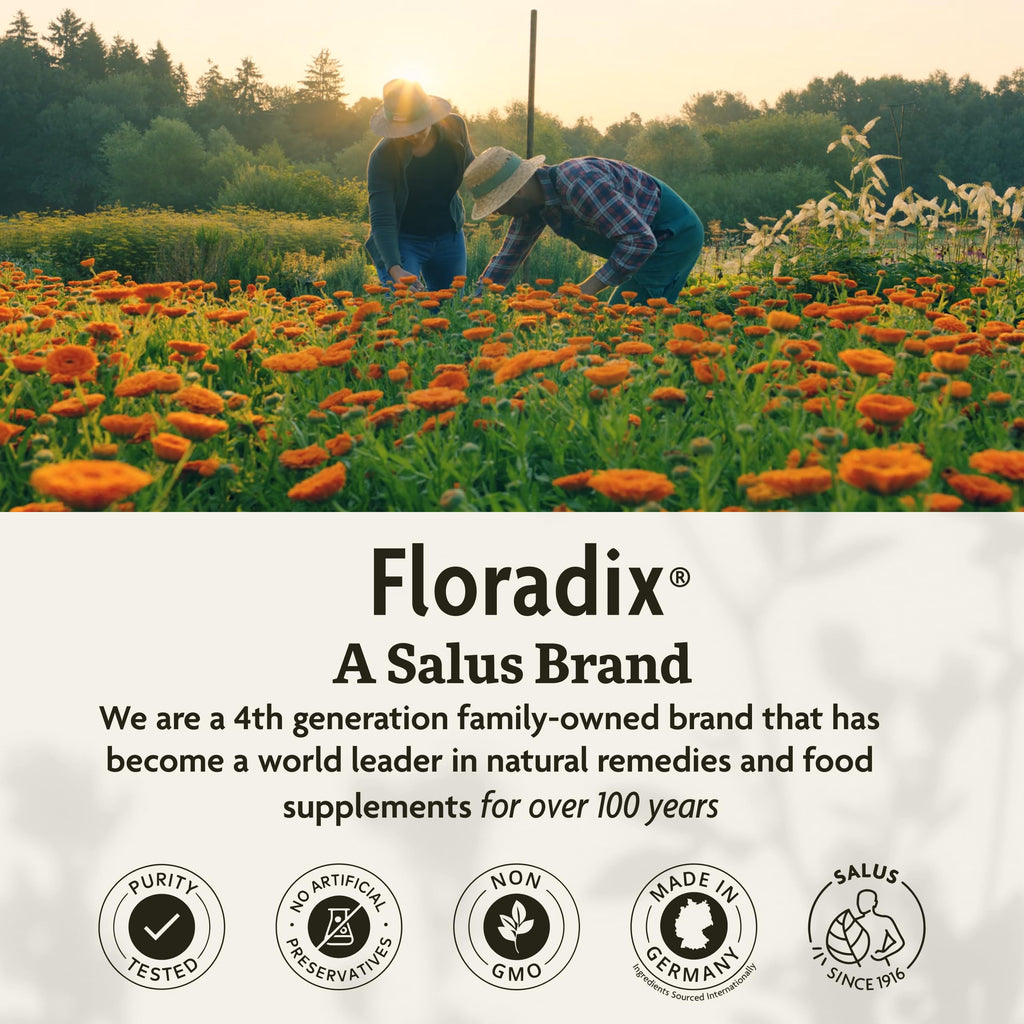 Floradix Iron Tablets - Iron Supplement with B Vitamins, Vitamin C & More | Vegetarian & Gluten-Free | 120 Tablets