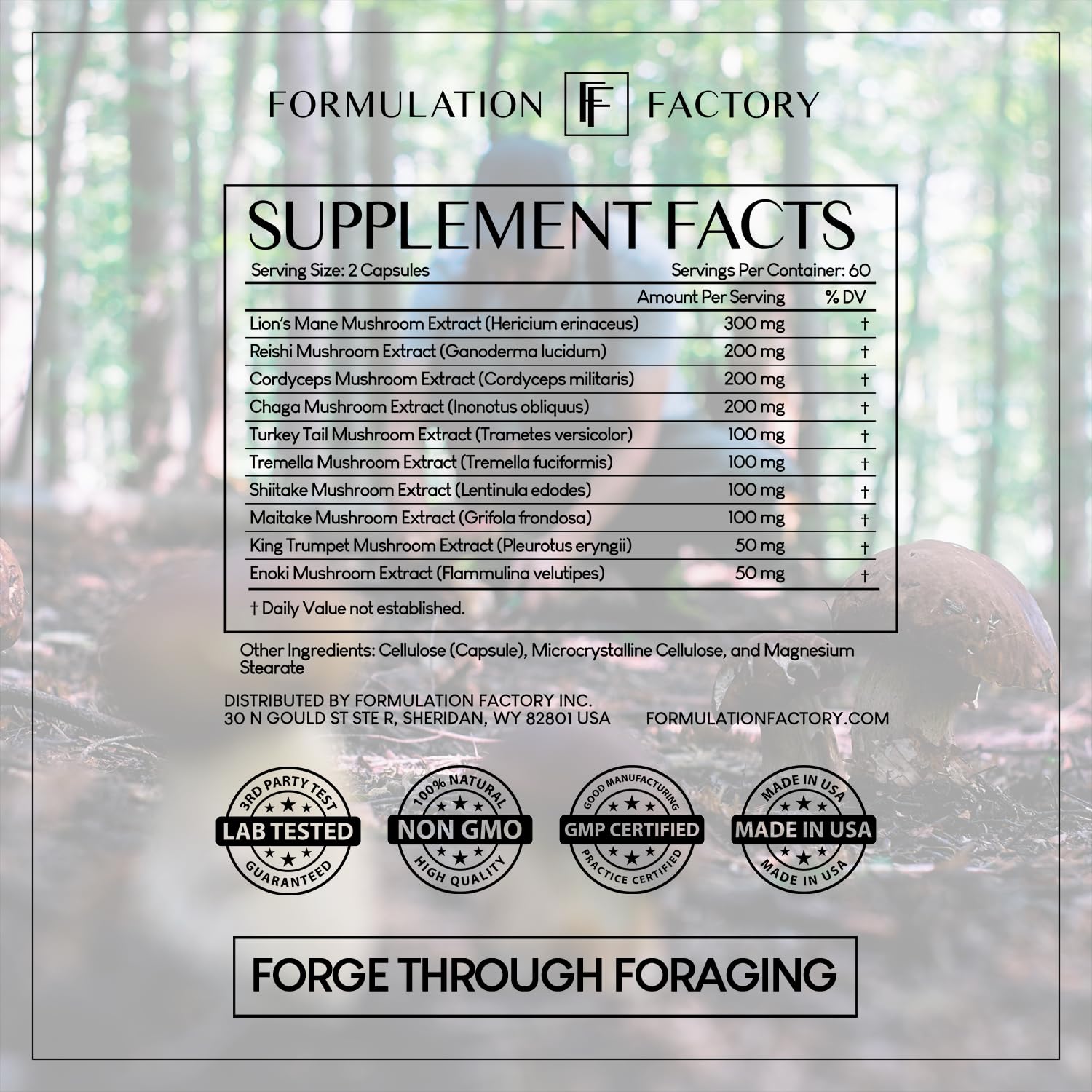 Formulation Factory Shroom Vroom: 10-in-1 Mushroom Supplement with Lion’s Mane & Reishi – 240 Count (Pack of 2)
