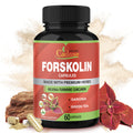 Forskolin Supplements Capsules with Turmeric Curcumin, Arjuna, Garcinia Cambogia, Green Tea – 60 Capsules