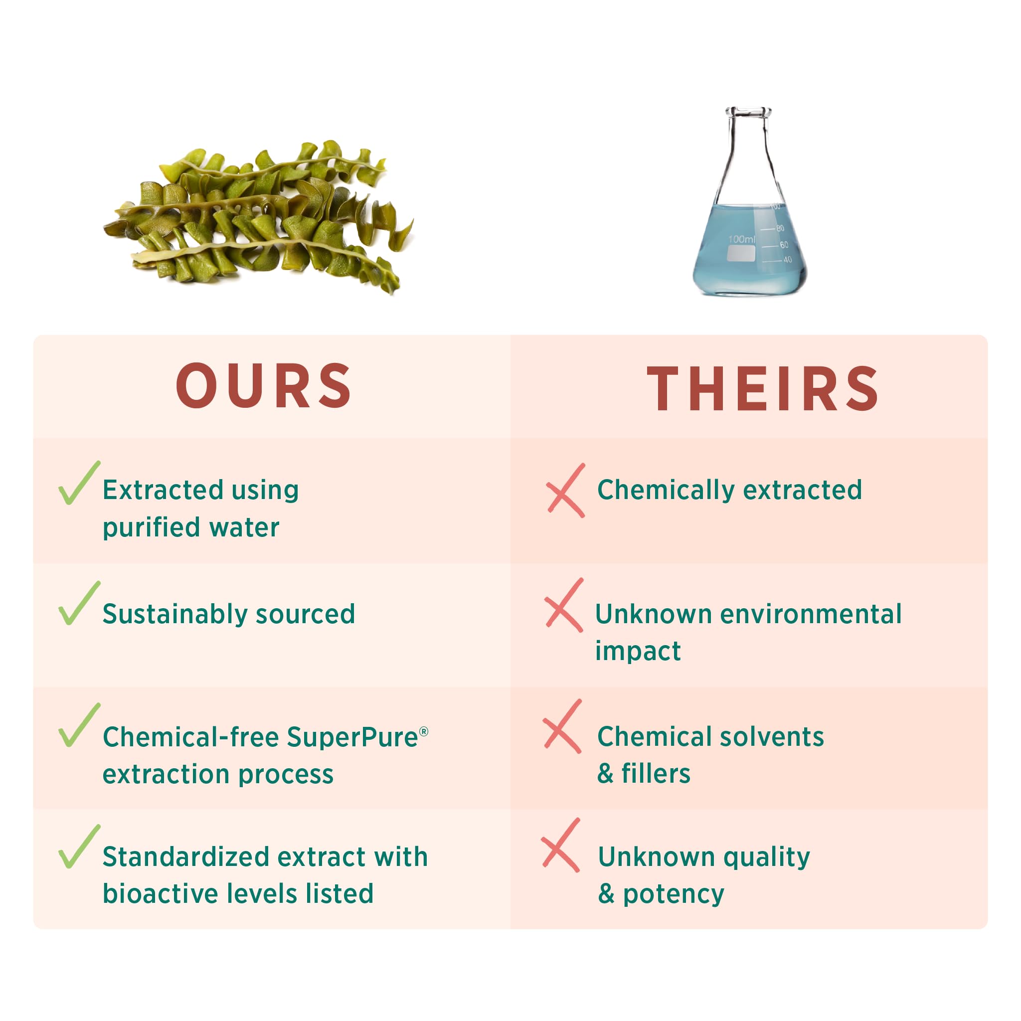PURE SYNERGY SuperPure Fucoidan Extract | Organic Brown Seaweed | Immune Support, Digestion & Healthy Aging (60 Capsules)