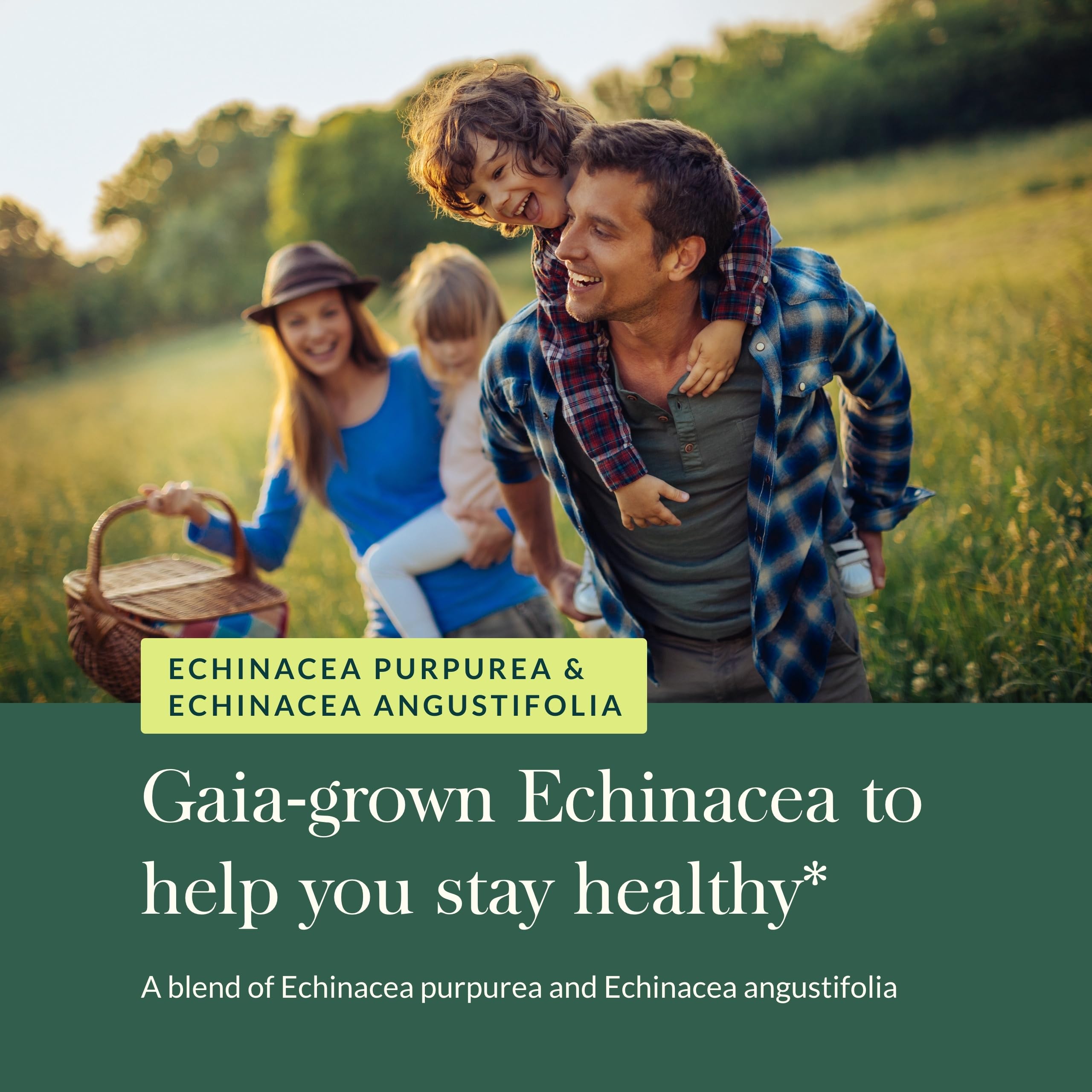 Gaia Herbs Echinacea Supreme – Immune Support (60 Vegan Caps)