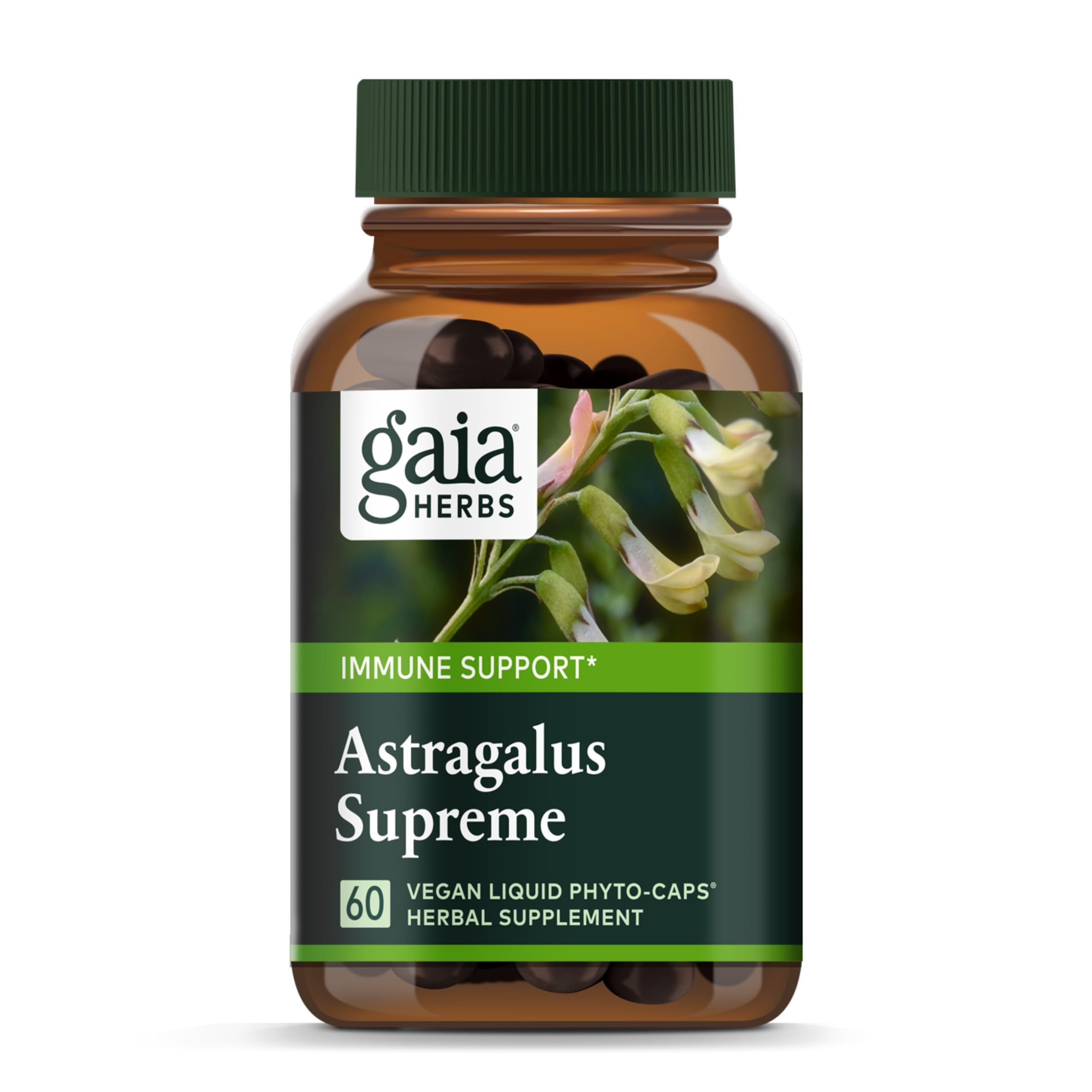 Gaia Herbs Astragalus Supreme – Immune & Antioxidant Support* (60 Vegan Liquid Phyto-Capsules)